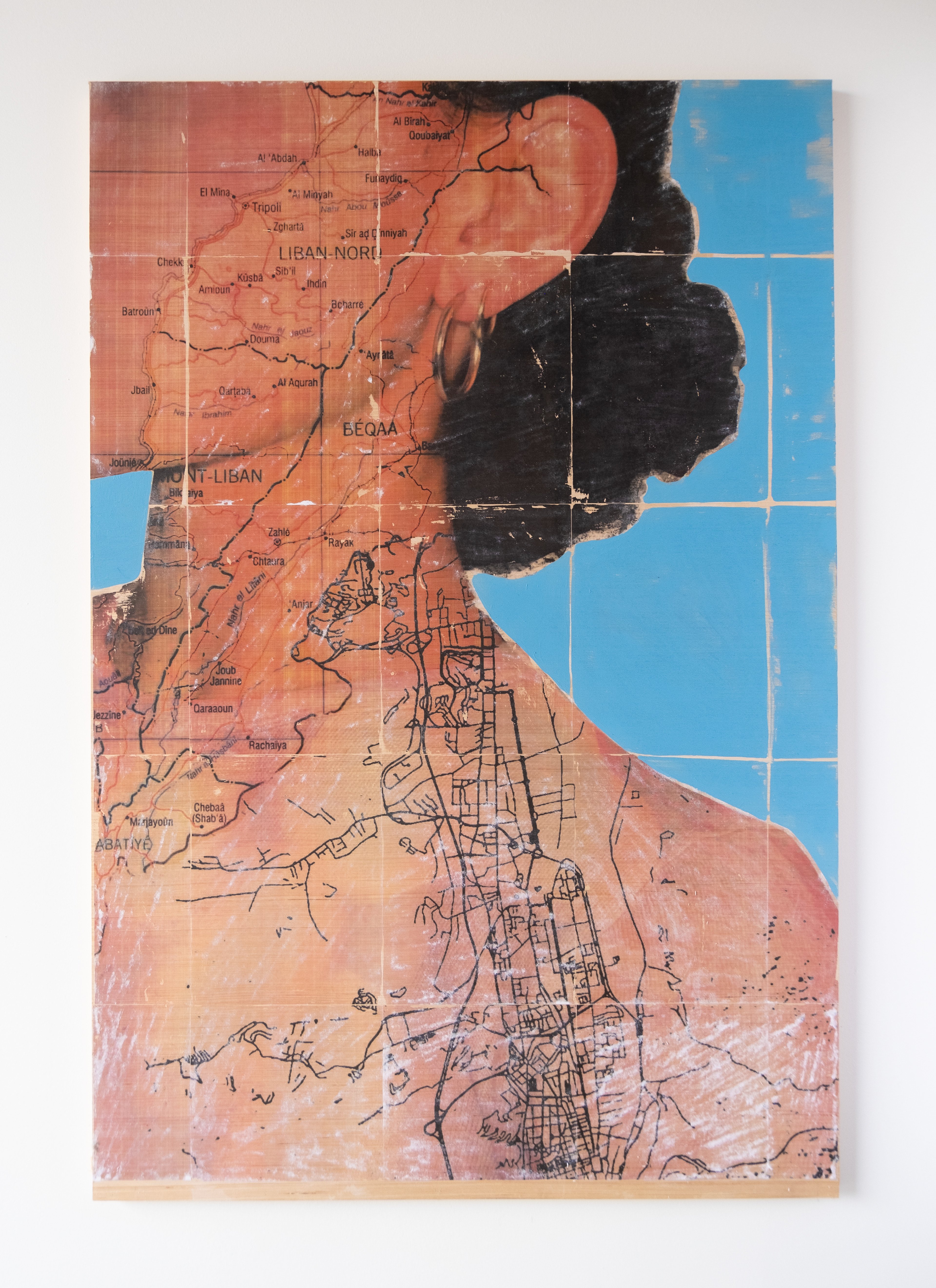 The Anatomy of My Origins, 2024 Acrylic Paint & Image Transfer on Birch Panel 32”x48”