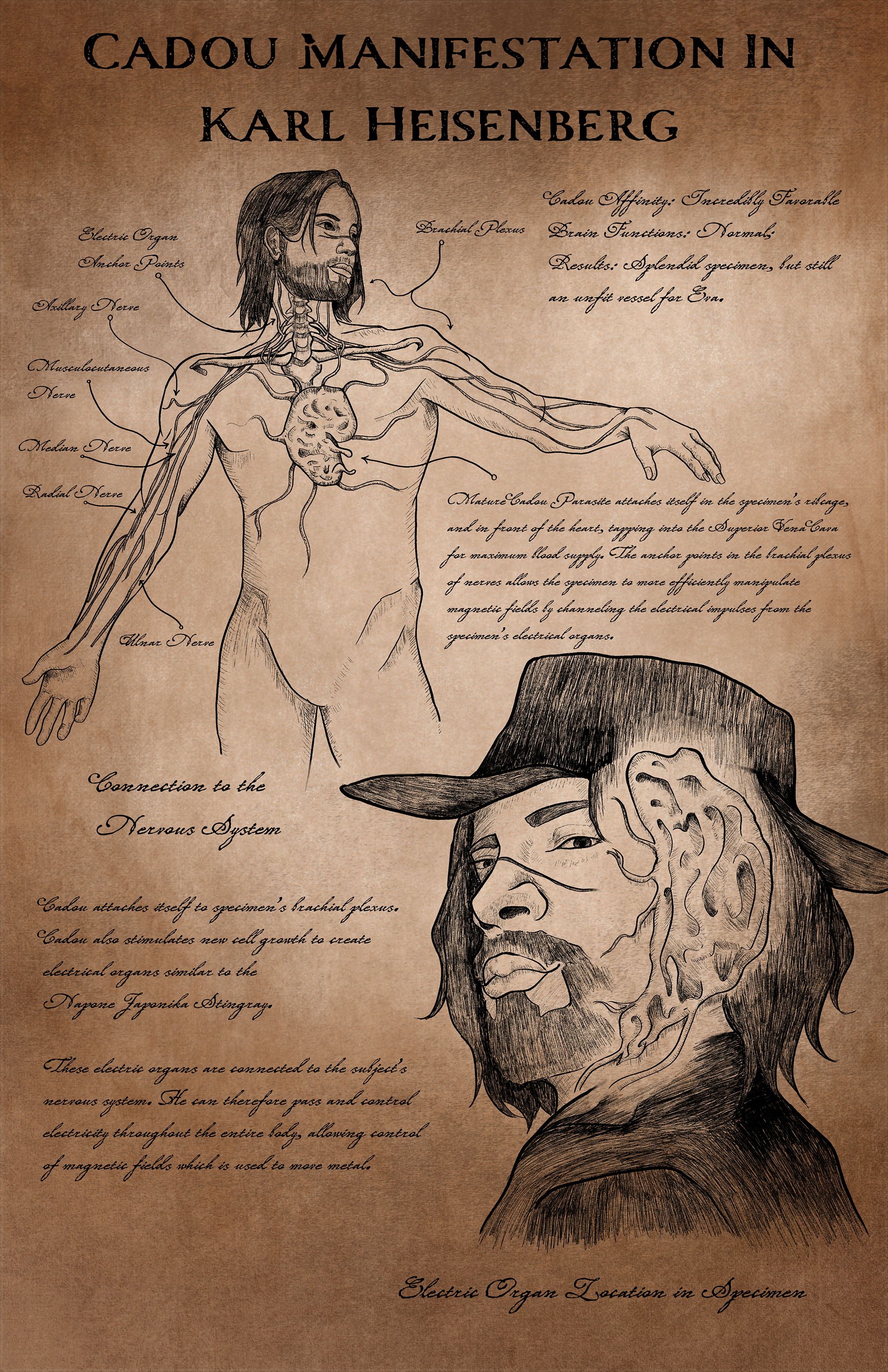 Heisenberg Collectible Illustration