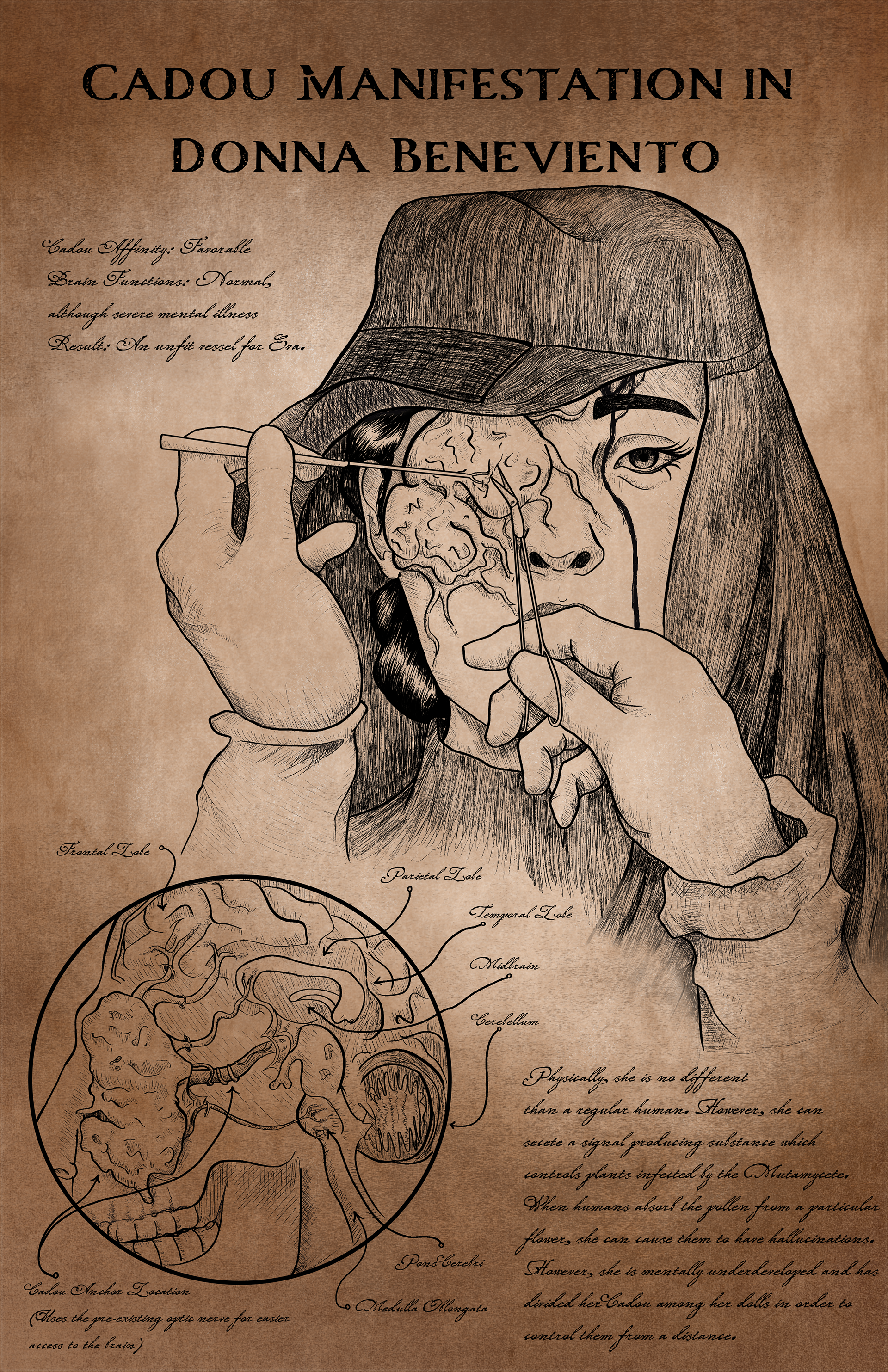 Donna Beneviento Collectible Illustration