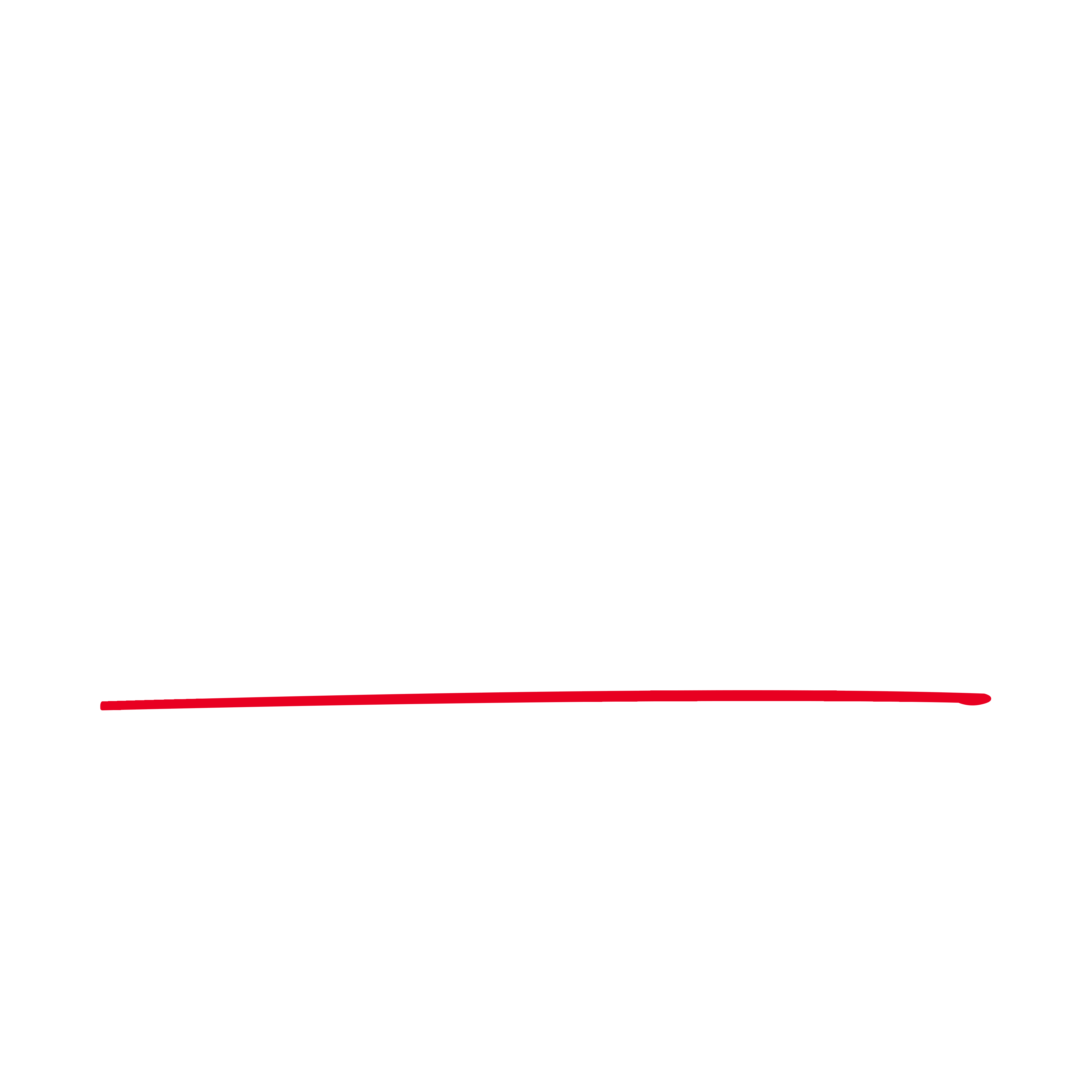 Thomas Bird