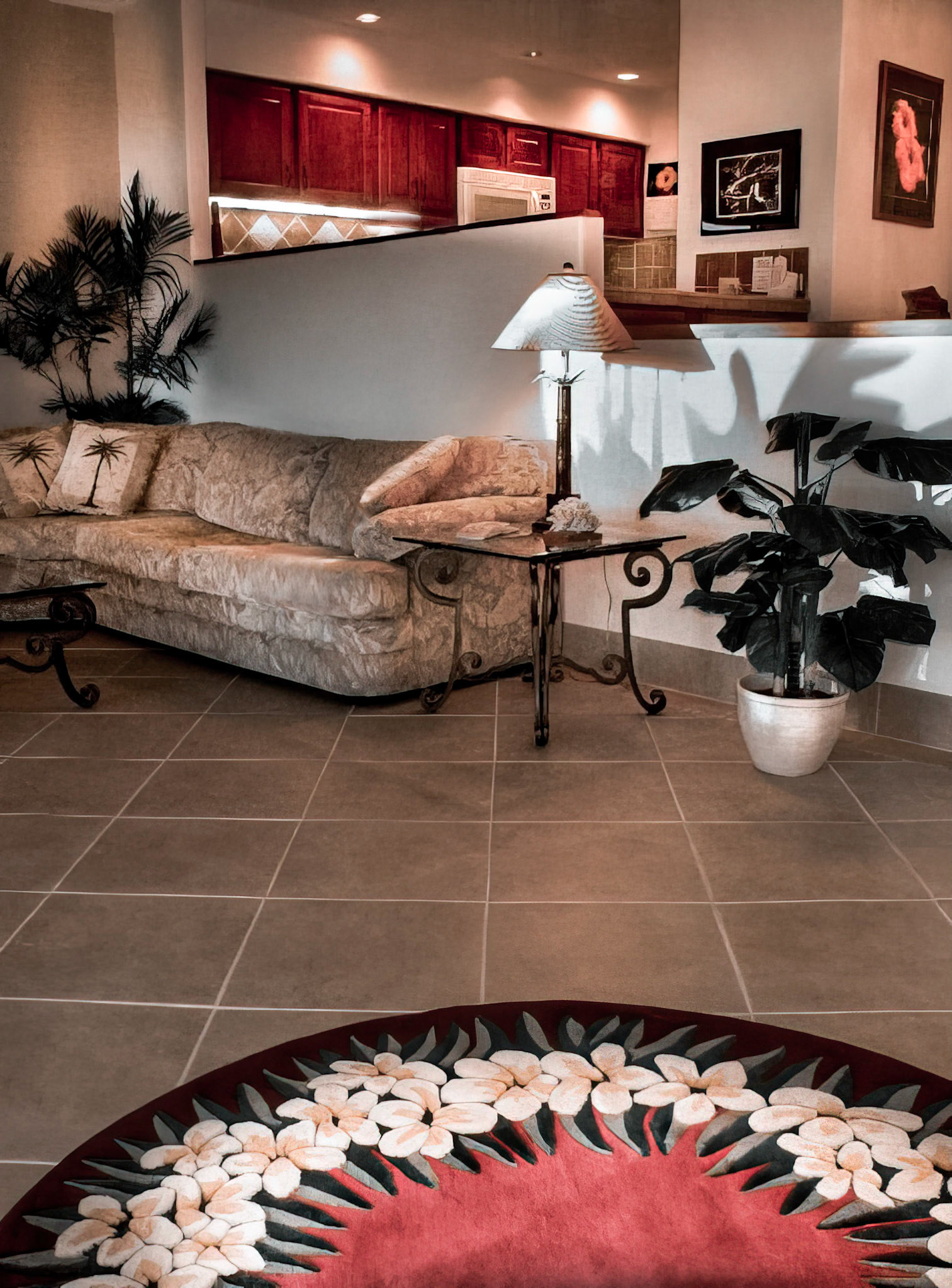 Living Room & Kitchen