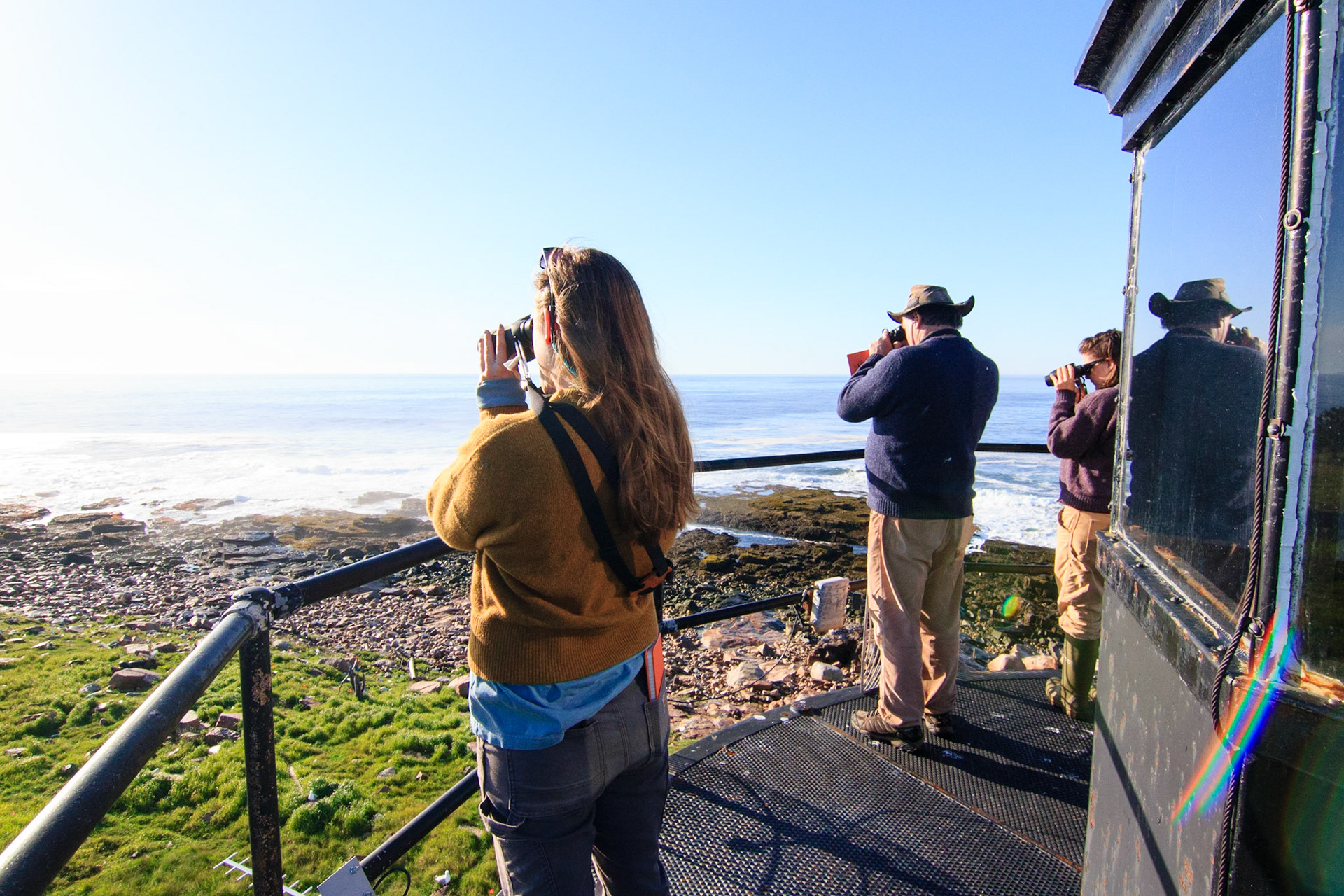 Great Duck Island, Maine