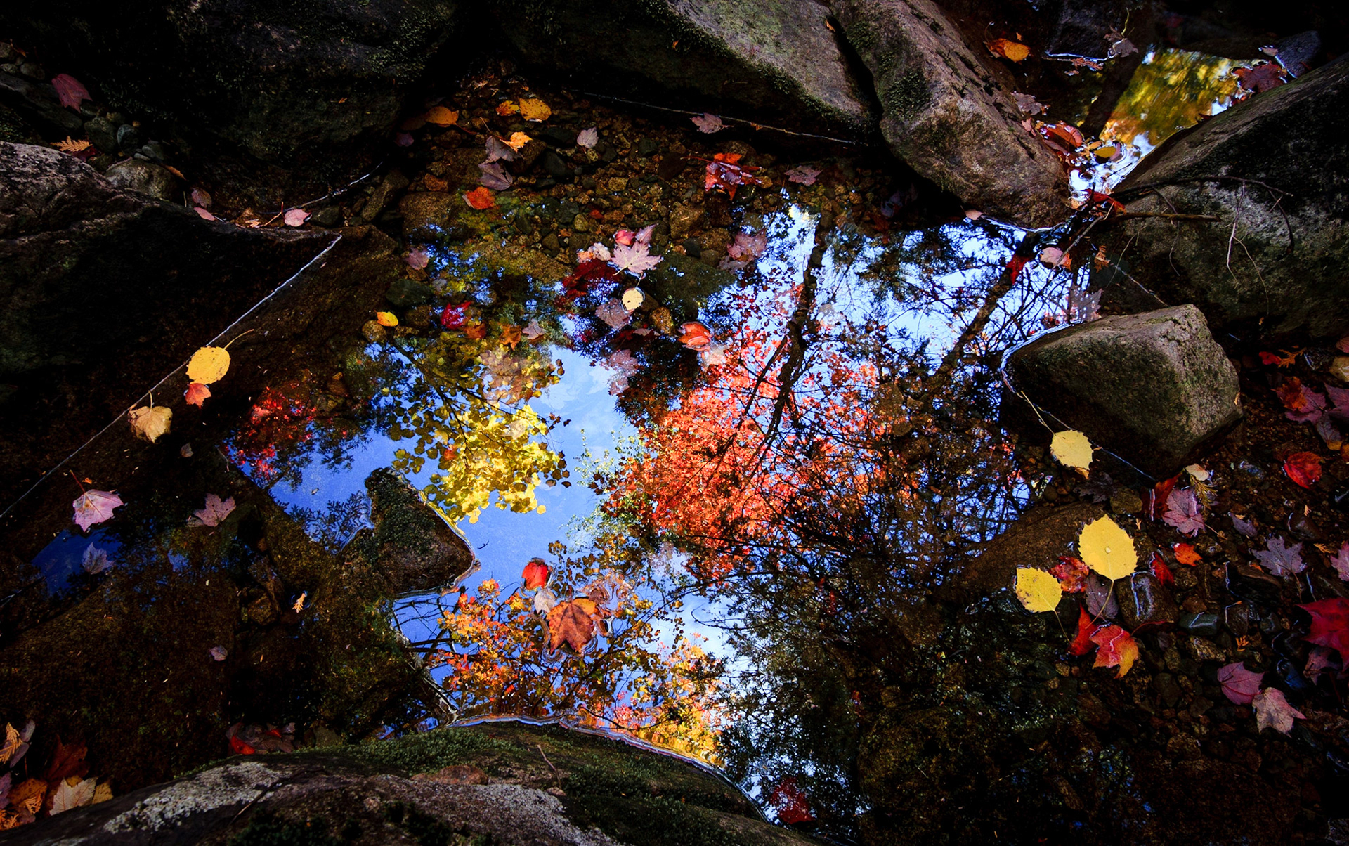 Acadia National Park, Maine