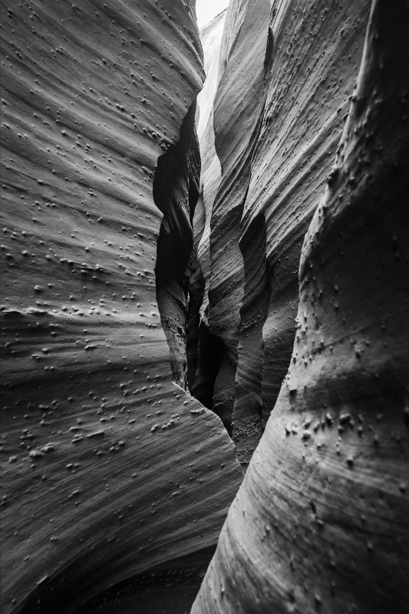 Former Grand Staircase-Escalante National Monument, Utah