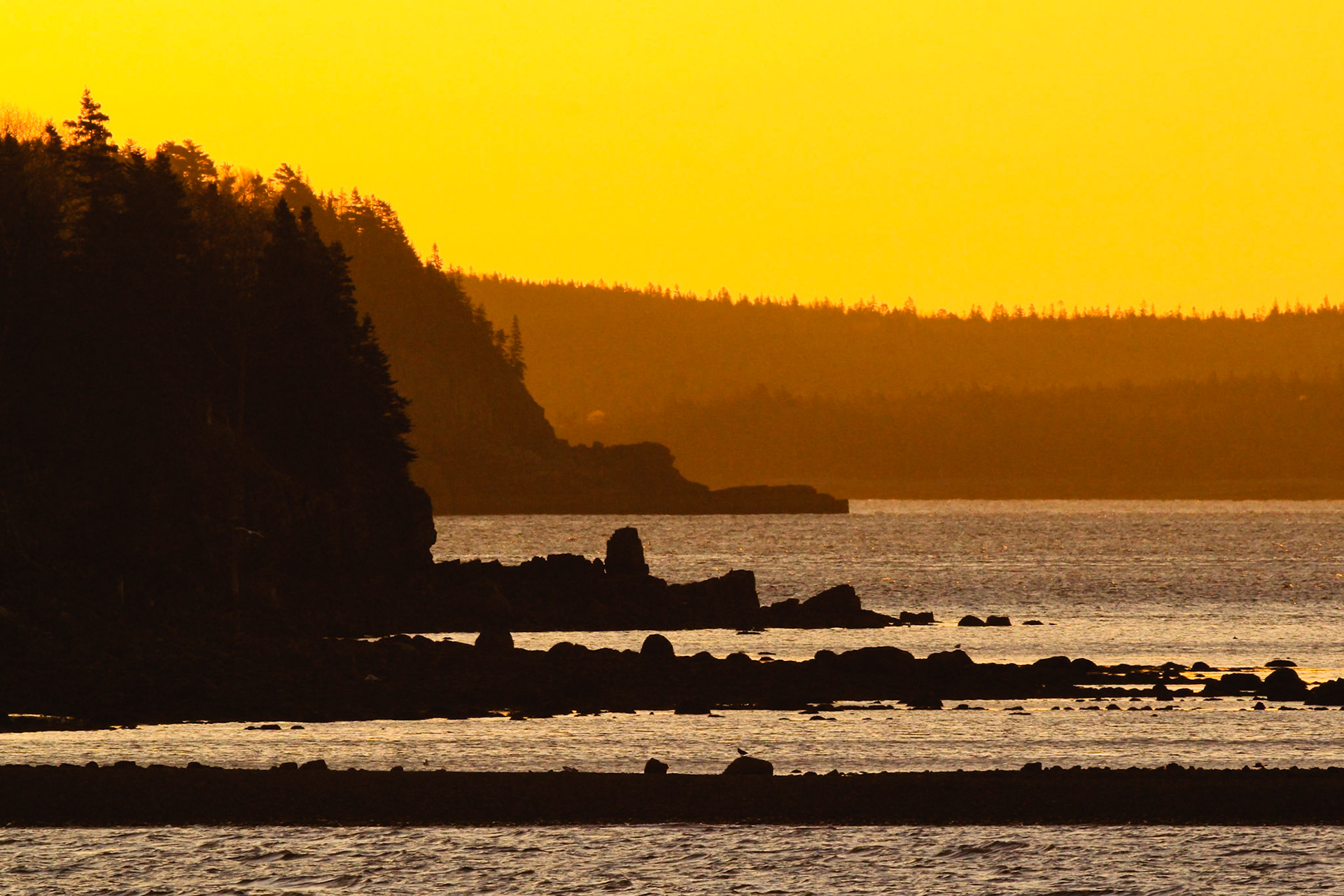 Acadia National Park, Maine