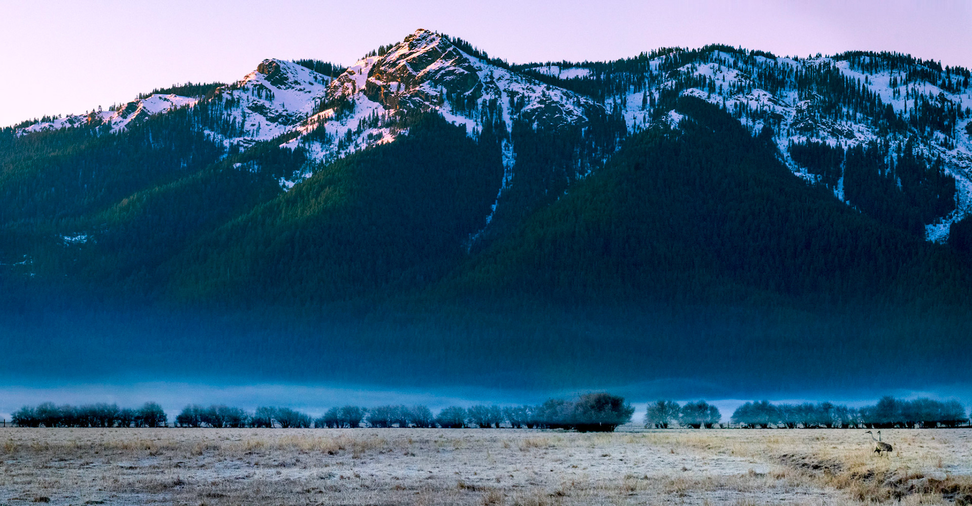 Mt. Hough, California