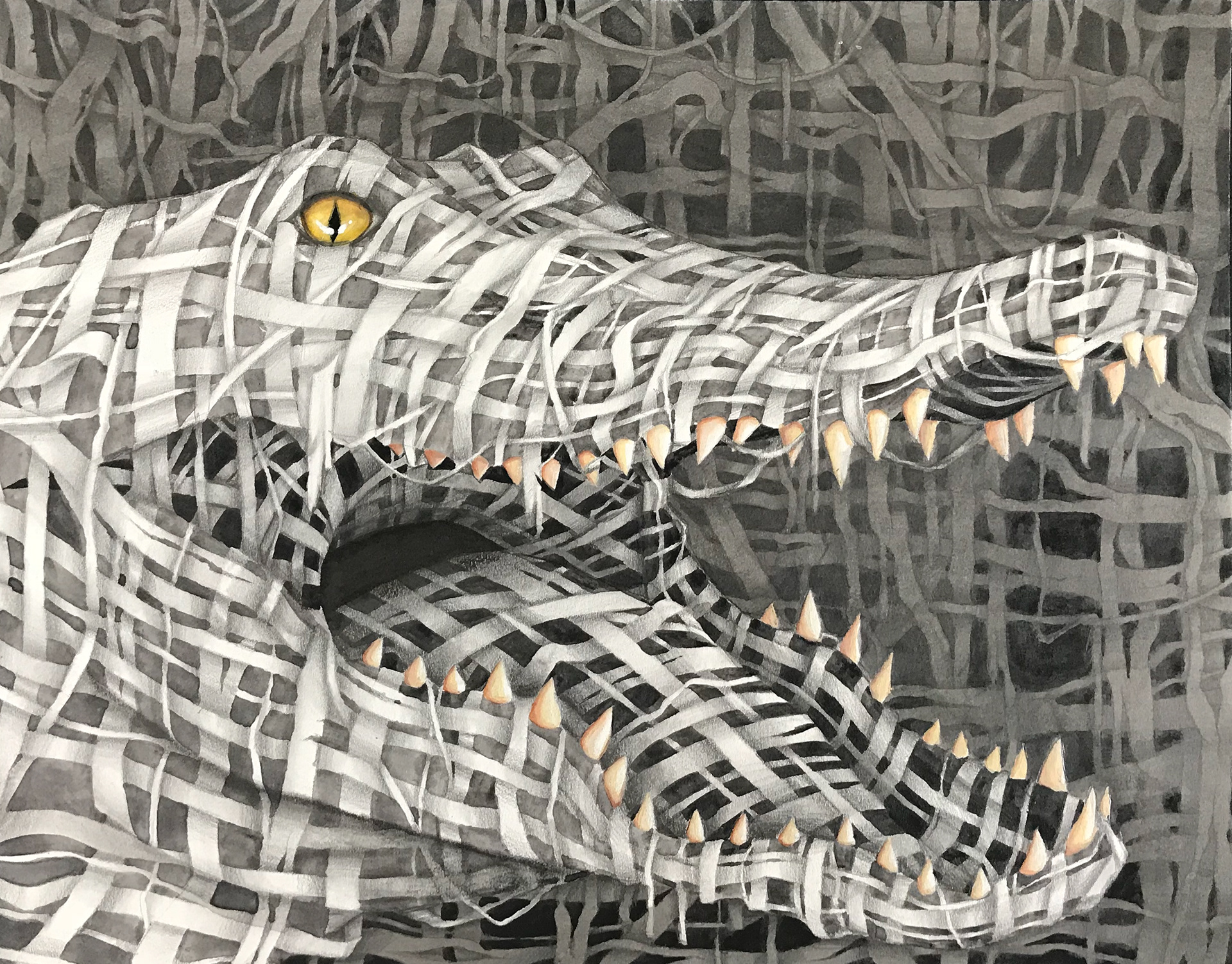 2018 | Graphite, Watercolor