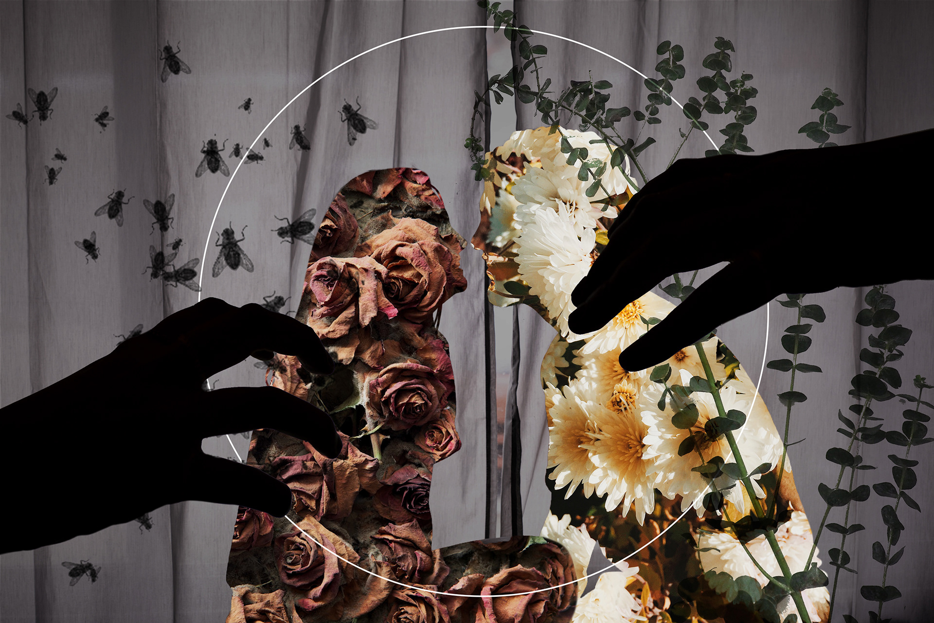 2020 | Collage | Photoshop