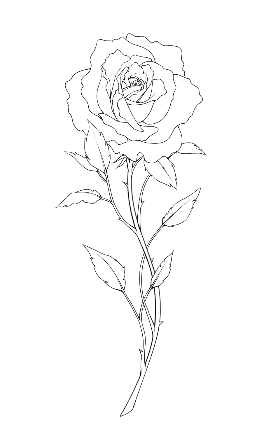 2018 | Commission | Paint Tool SAI