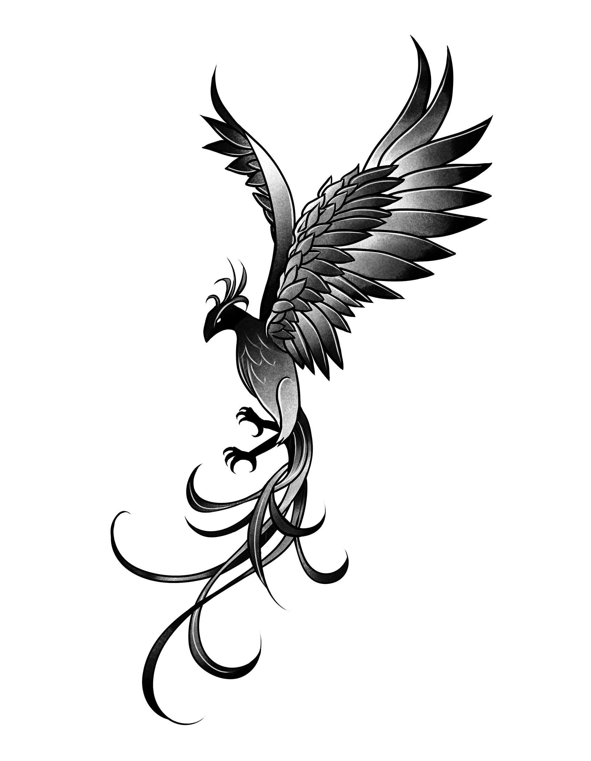 2021 | Commission | Photoshop
