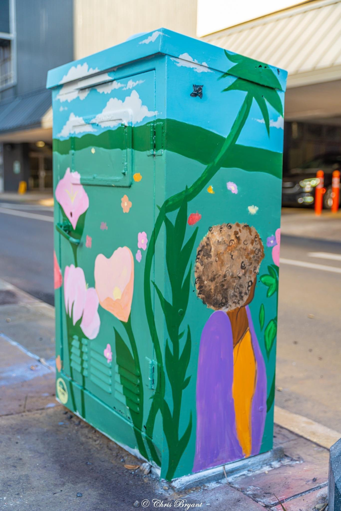 2023 | "Looking Up" Public Lightbox Project | Main Artist: T. Faith Laird