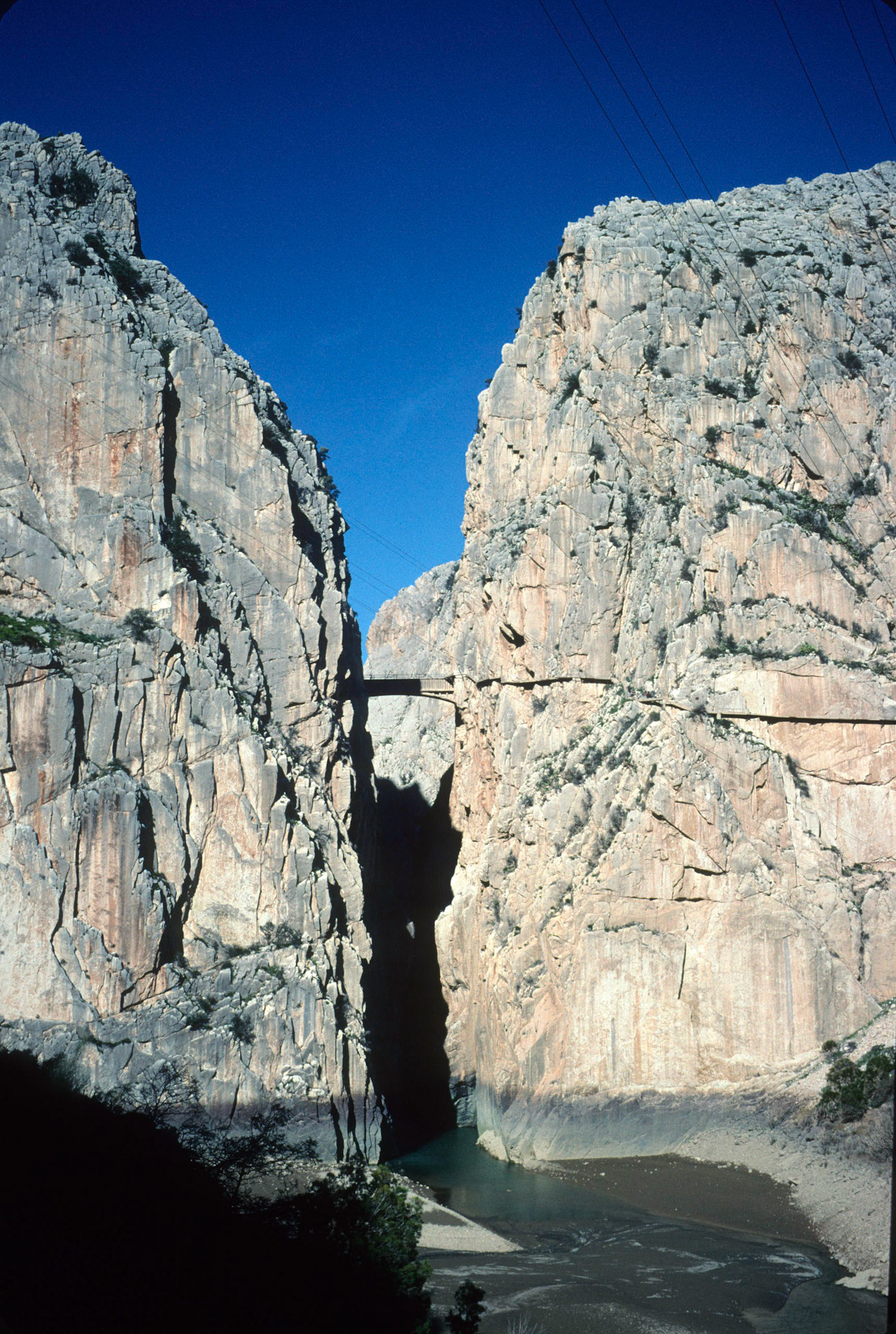 Victoria last night was really, really disappointed. (A13)