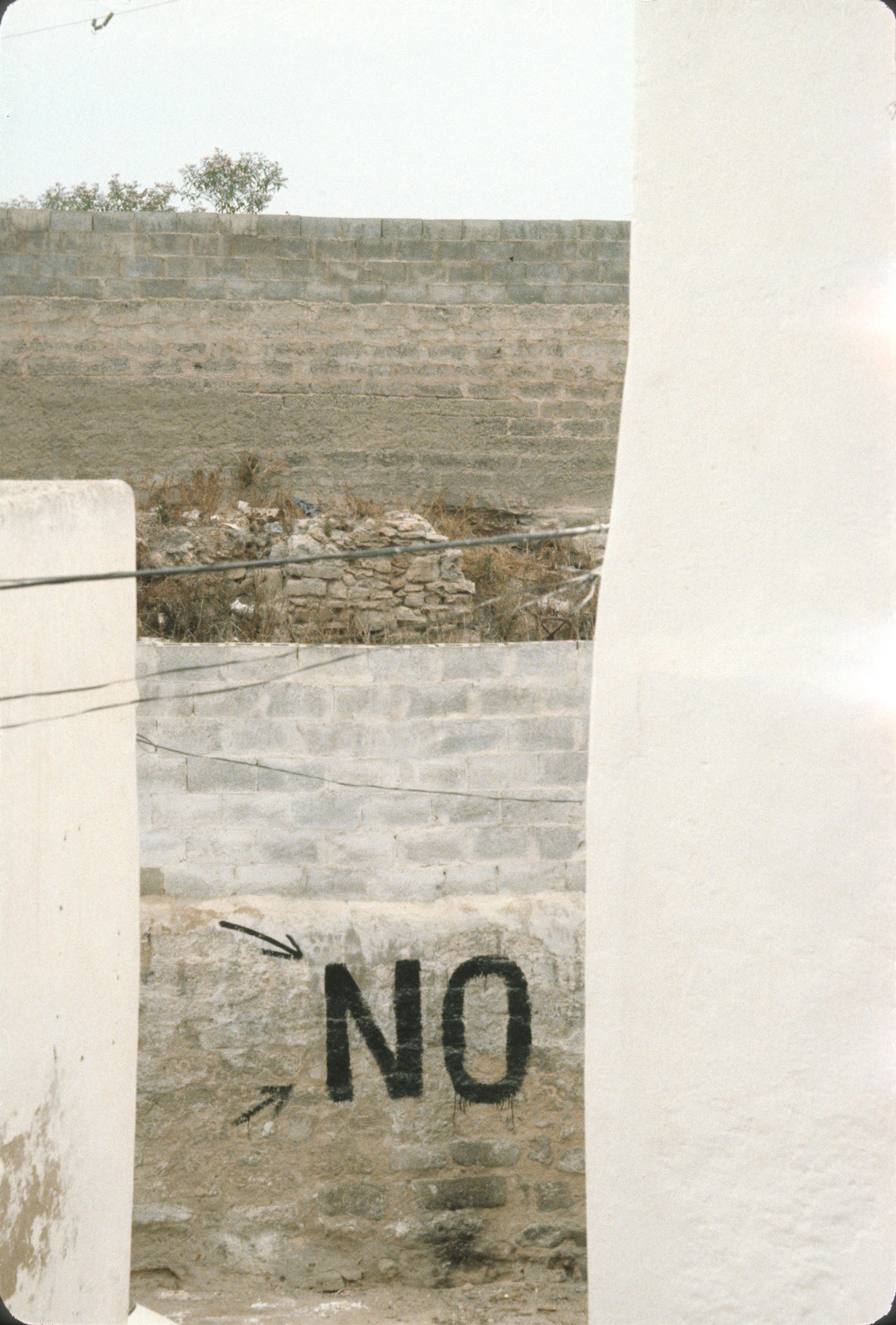 Her answer kept echoing in Mo's head. (A38)