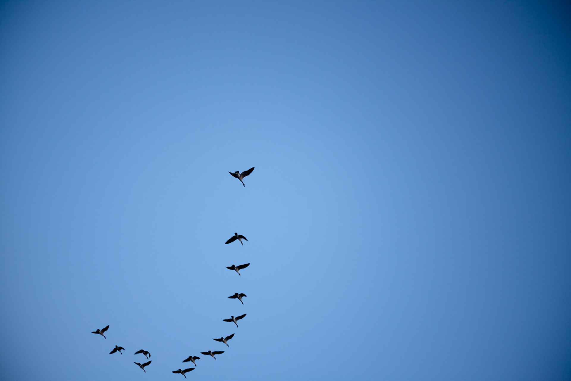 The Four Elements: Air - 空氣 (Kōngqì)