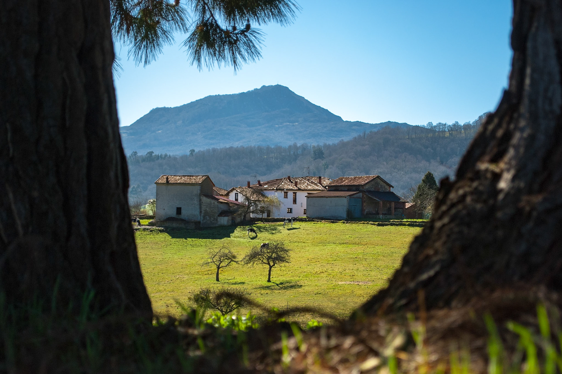 Peñamayor y Robléu, Asturias. Spain