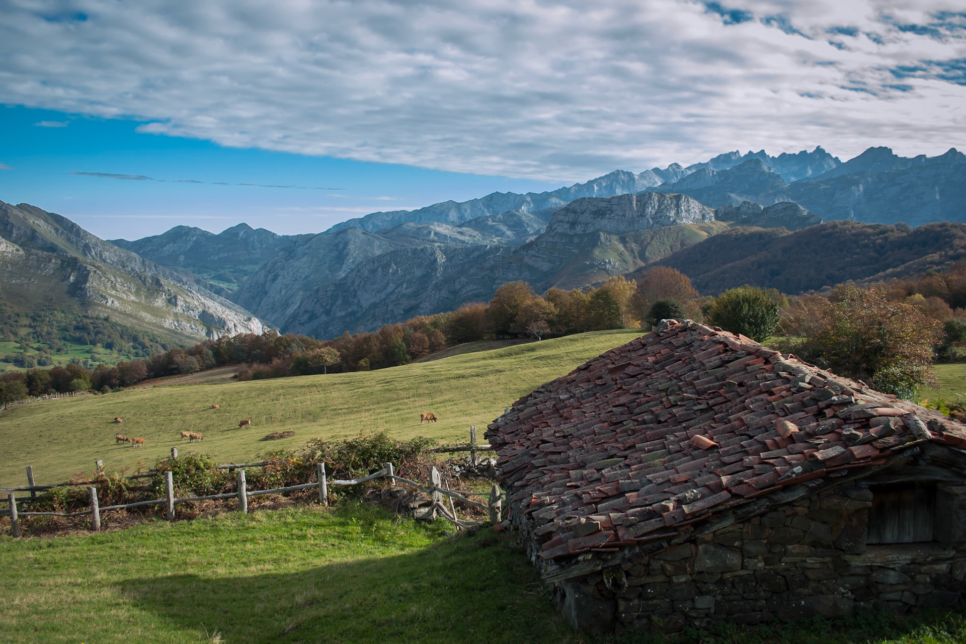 Ponga, Asturias. Spain