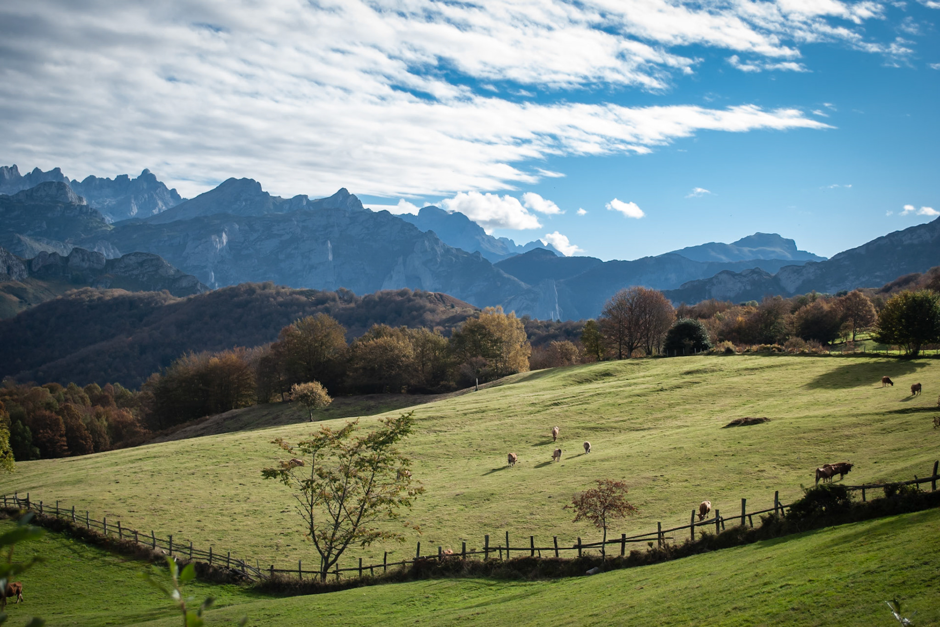 Ponga, Asturias. Spain