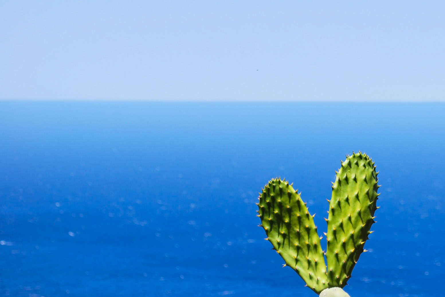 La Palma. Spain