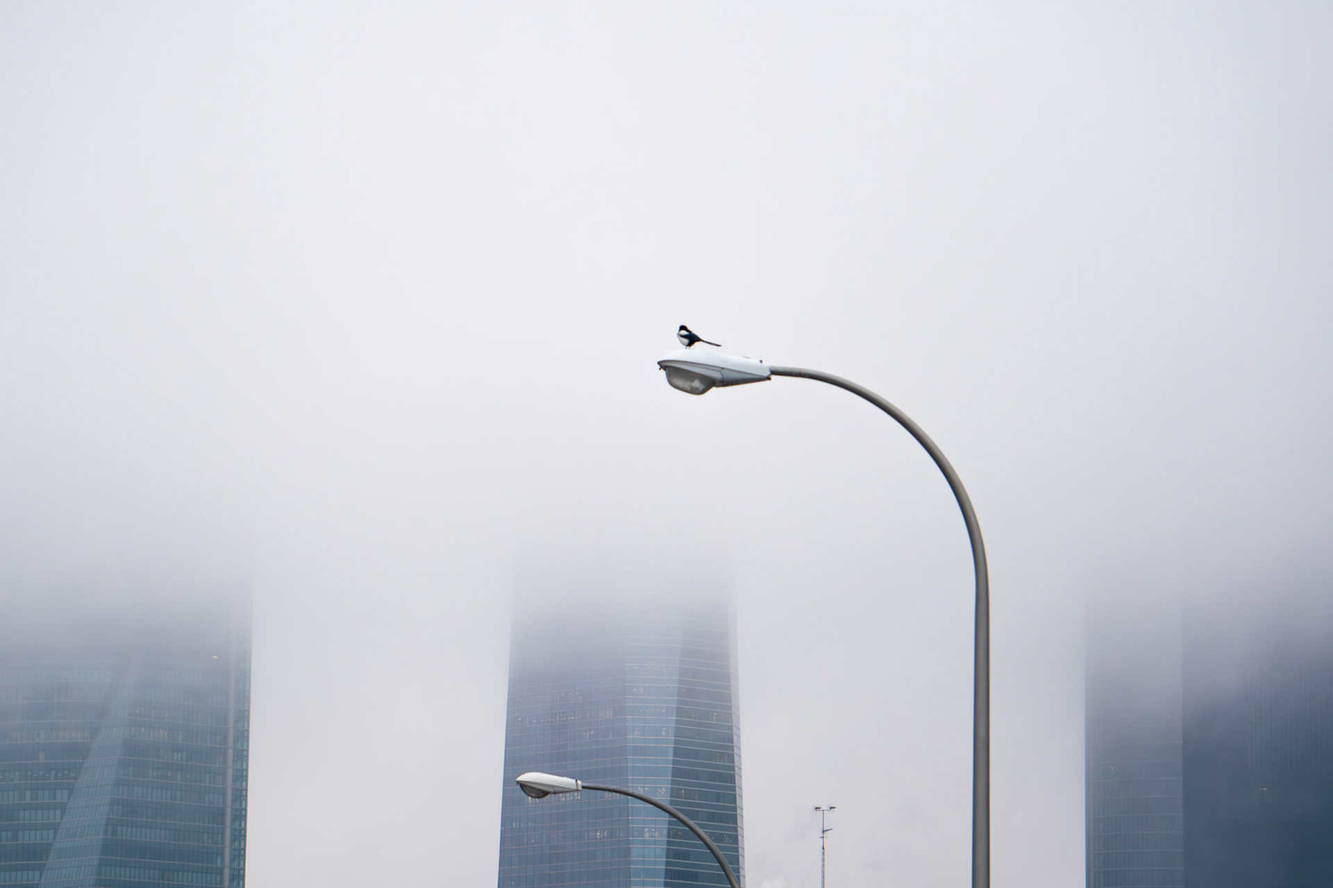 CTBA, Madrid. Spain