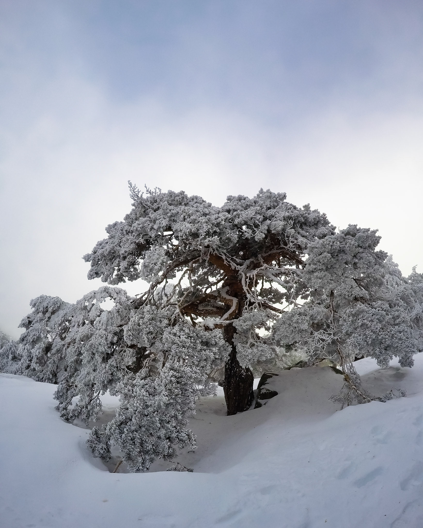 Navacerrada, Madrid. Spain