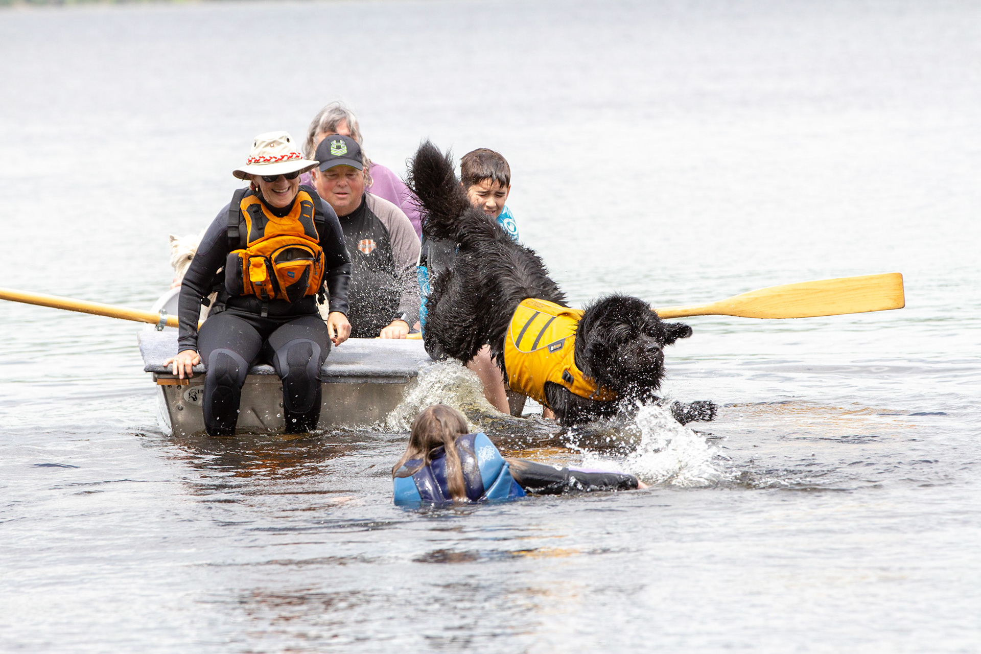 Margaree - Water Dog Rescue