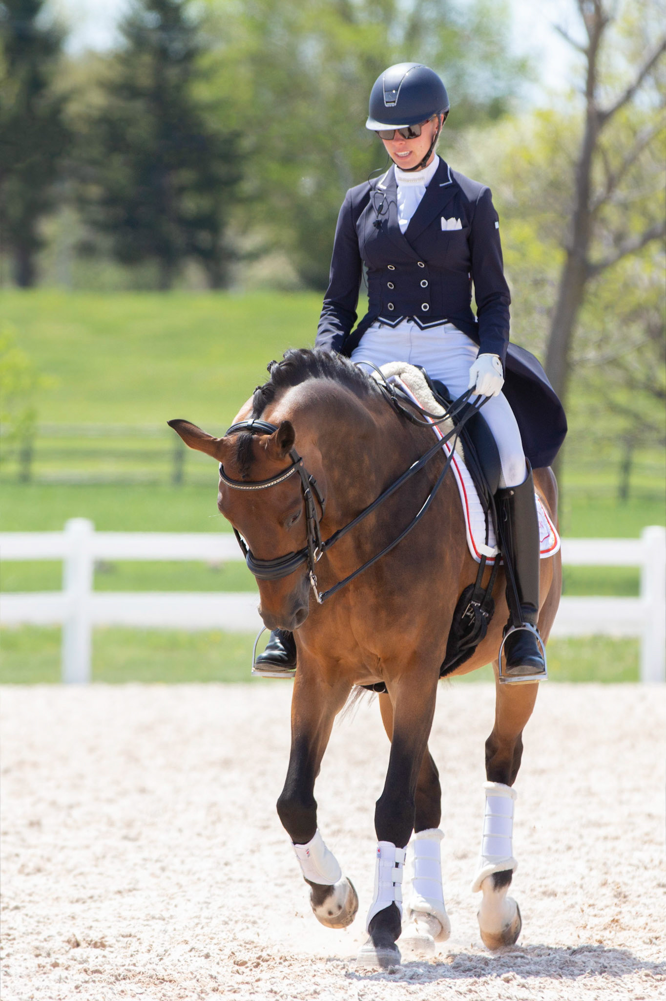 Dressage