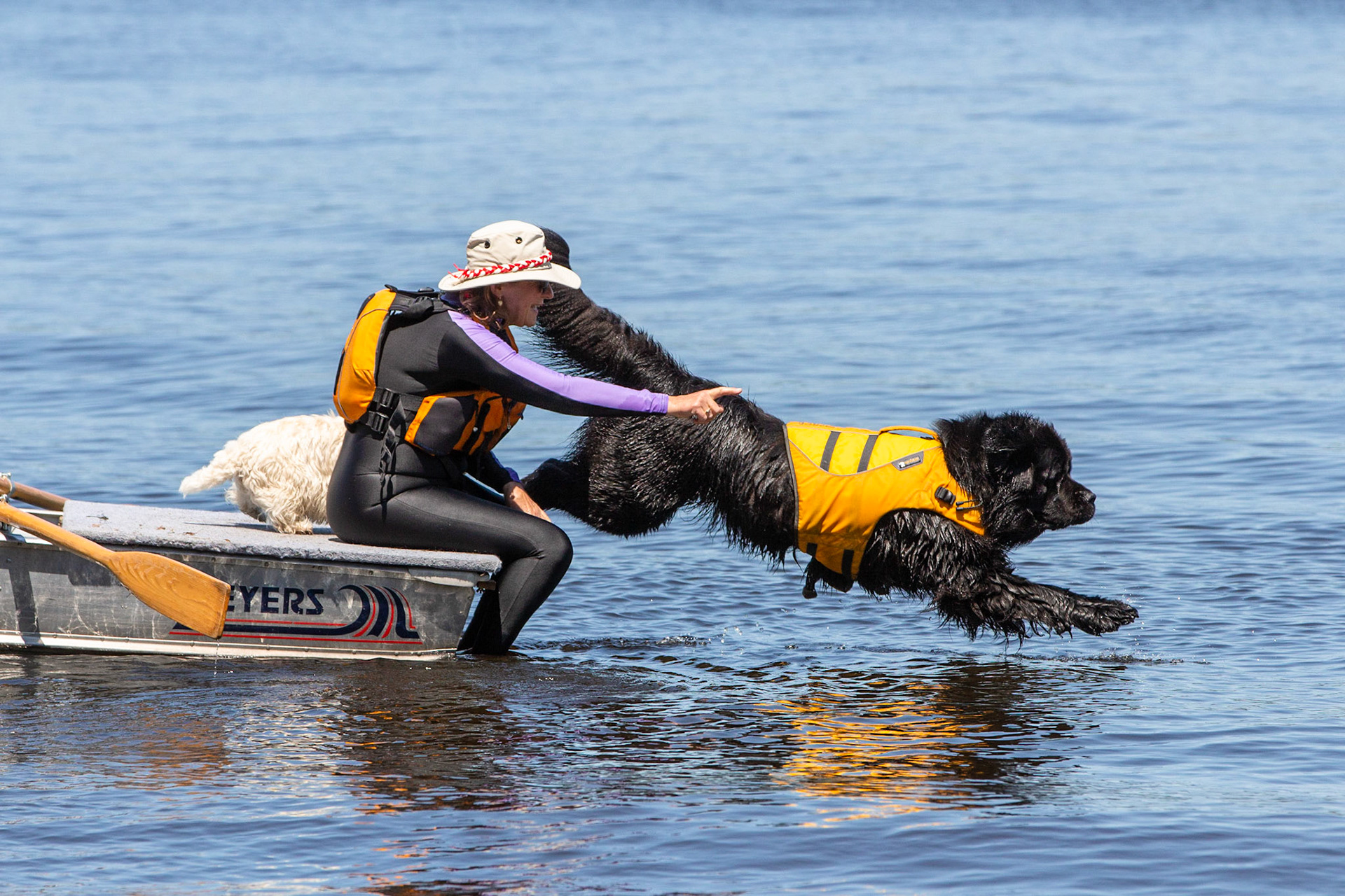 Margaree - Water Dog Rescue