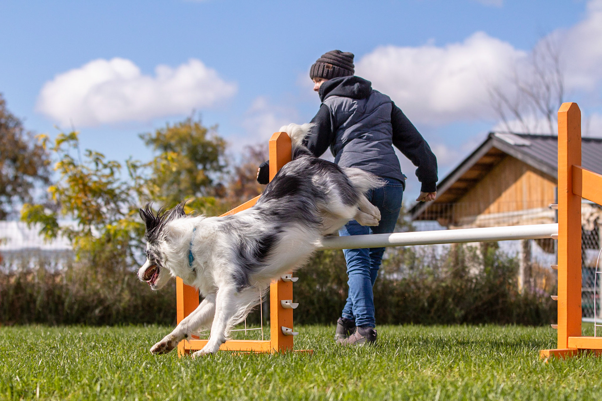 Nikon - Agility