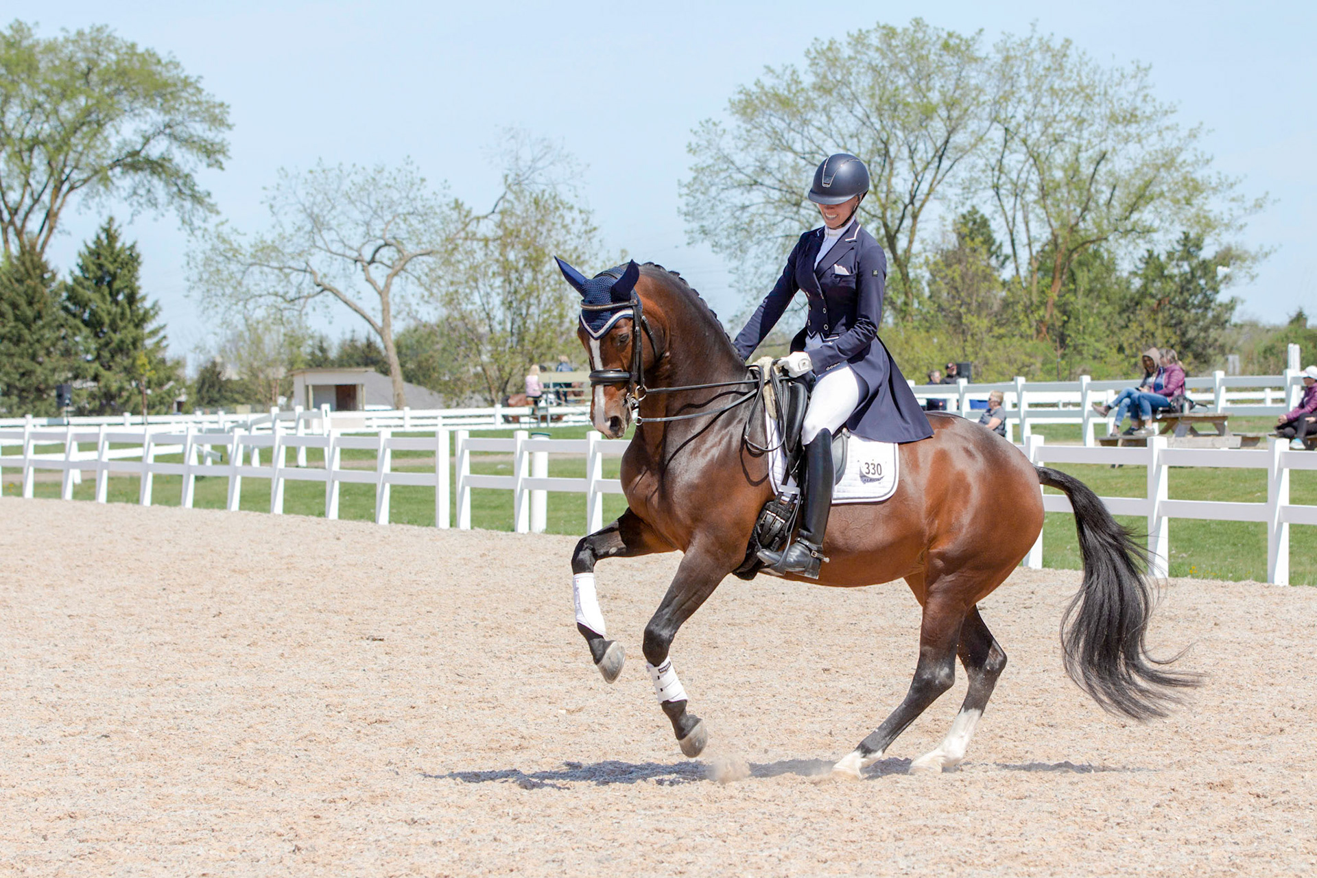Dressage