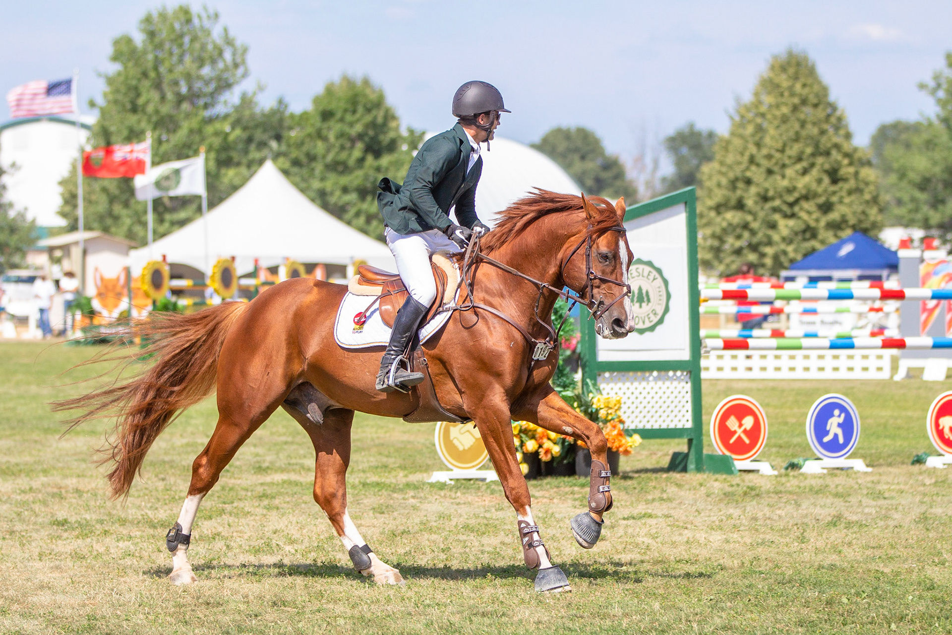 International Jumpers