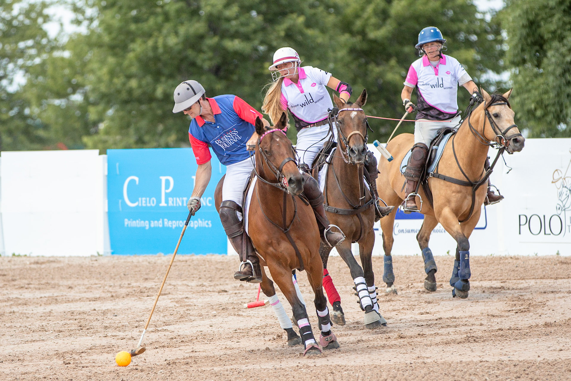 Polo