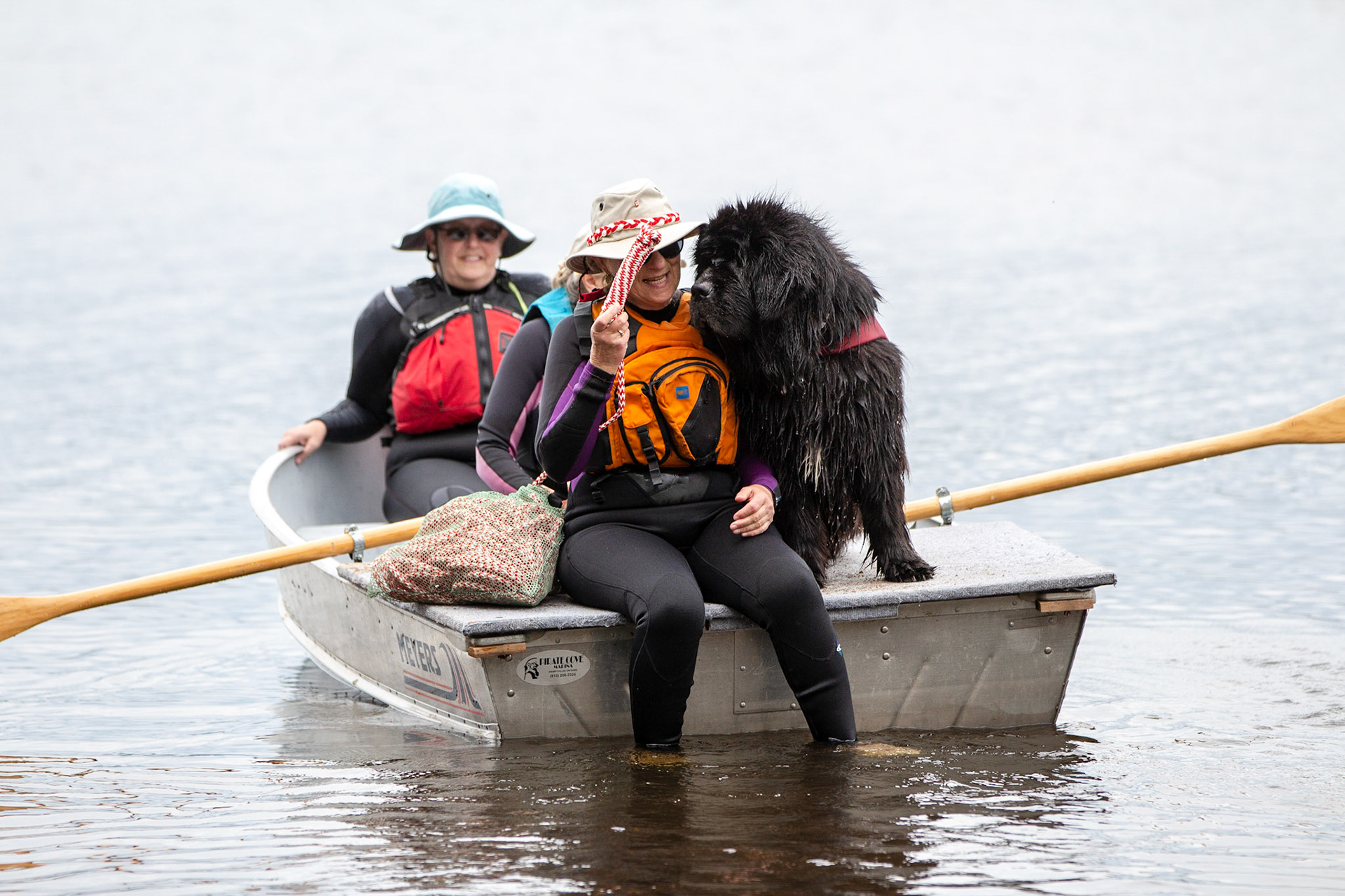 Splash - Water Dog Rescue