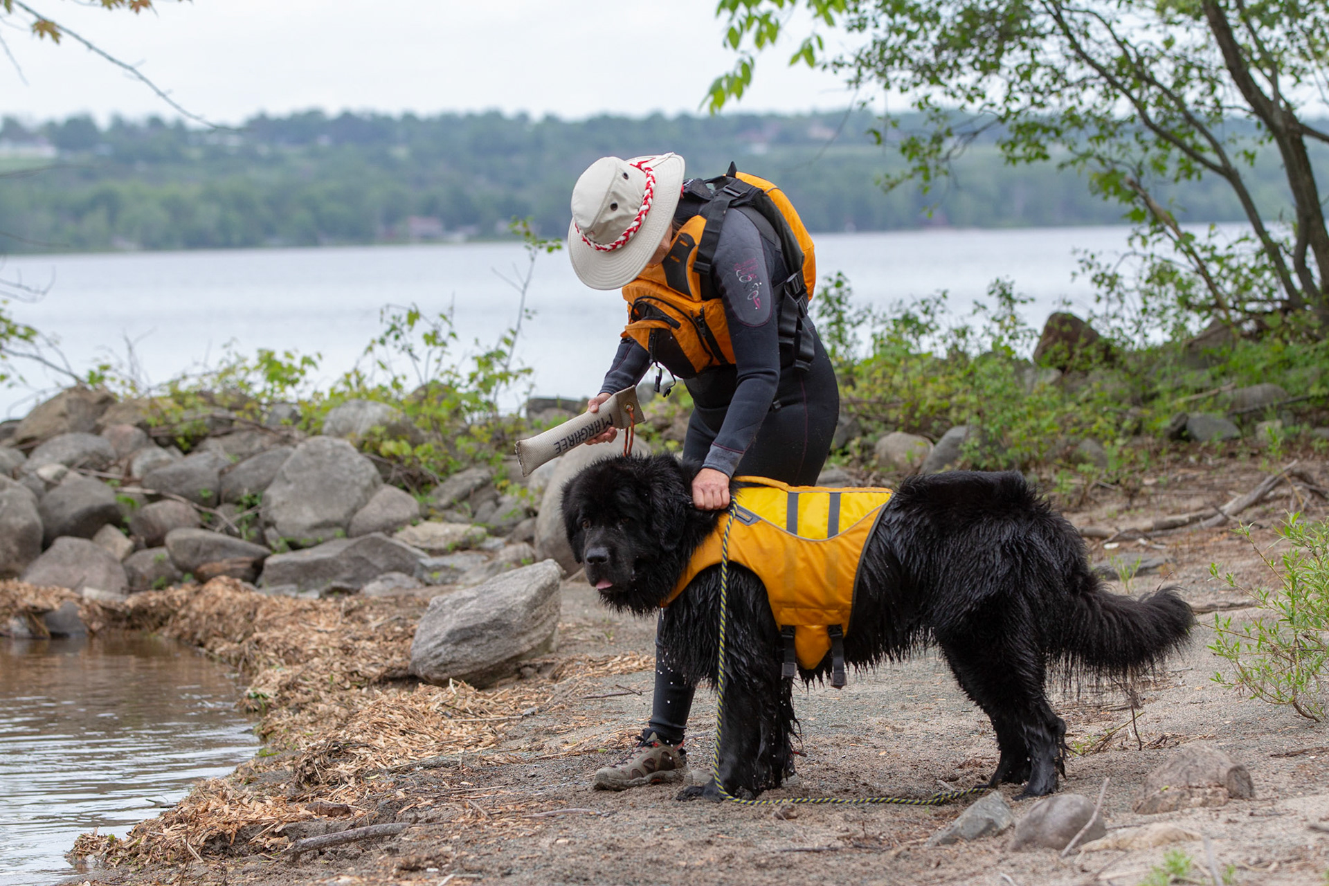 Margaree - Water Dog Rescue
