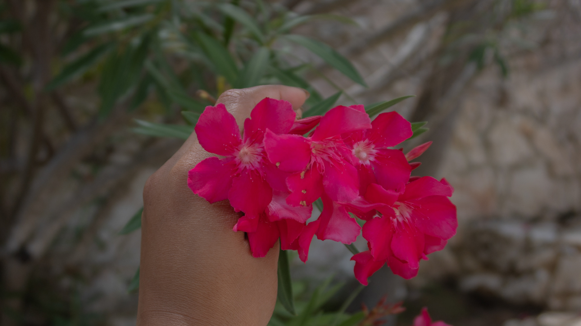 Baoase Luxury Resort Curaçao 