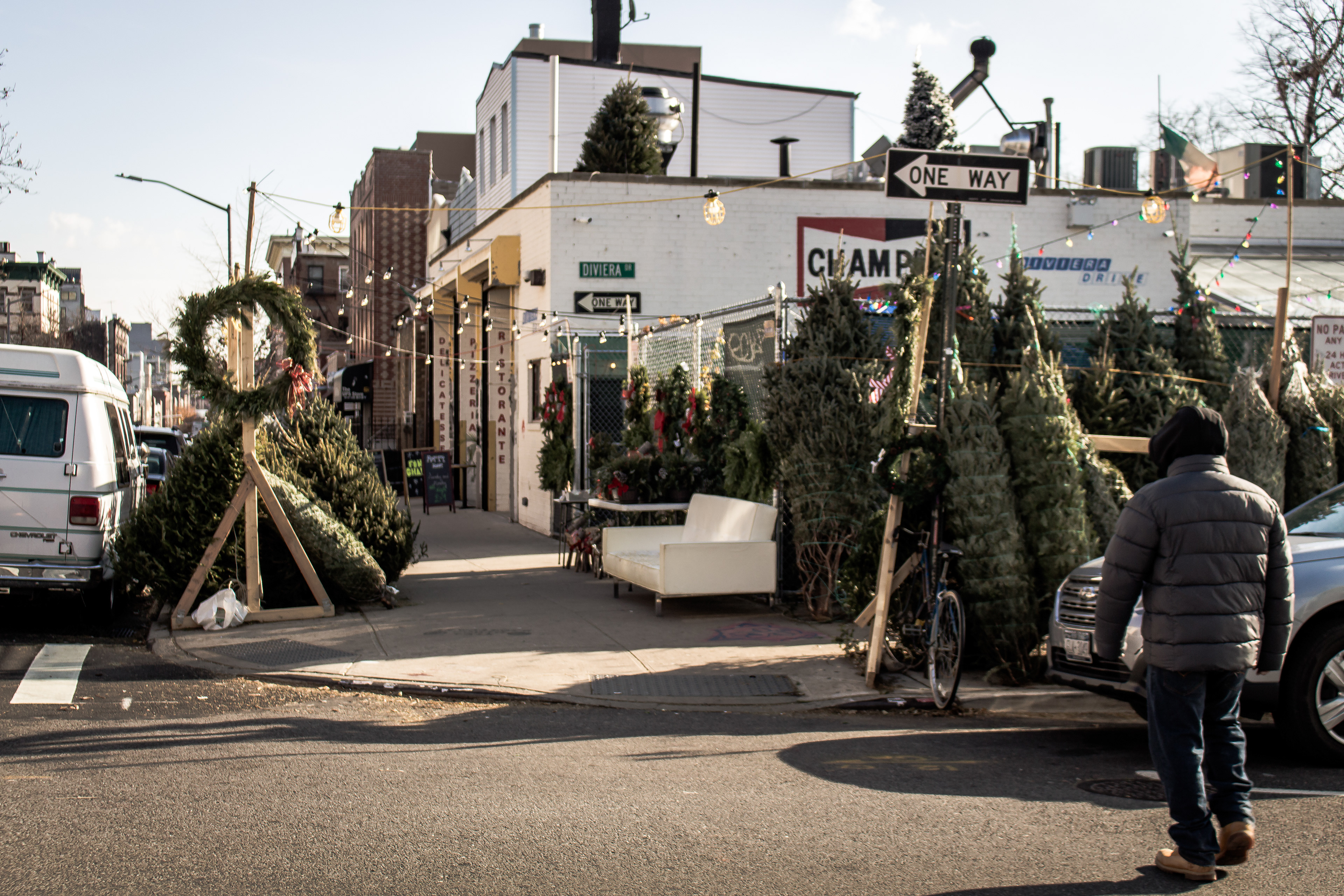 Tree Sale In Williamsburg Brooklyn