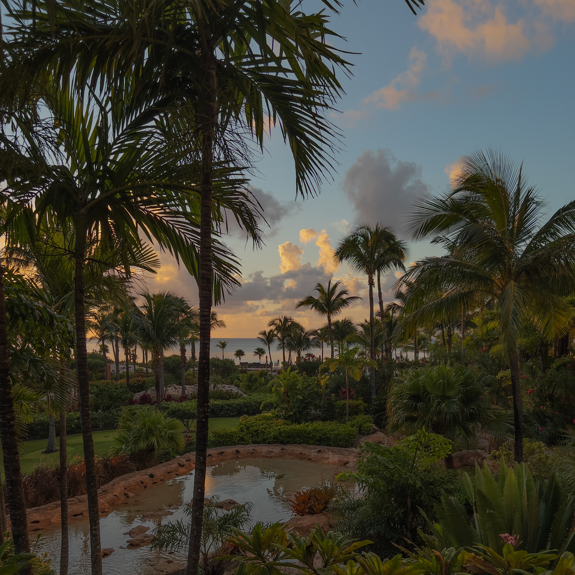 The Cove At Atlantis Paradise Island Bahamas