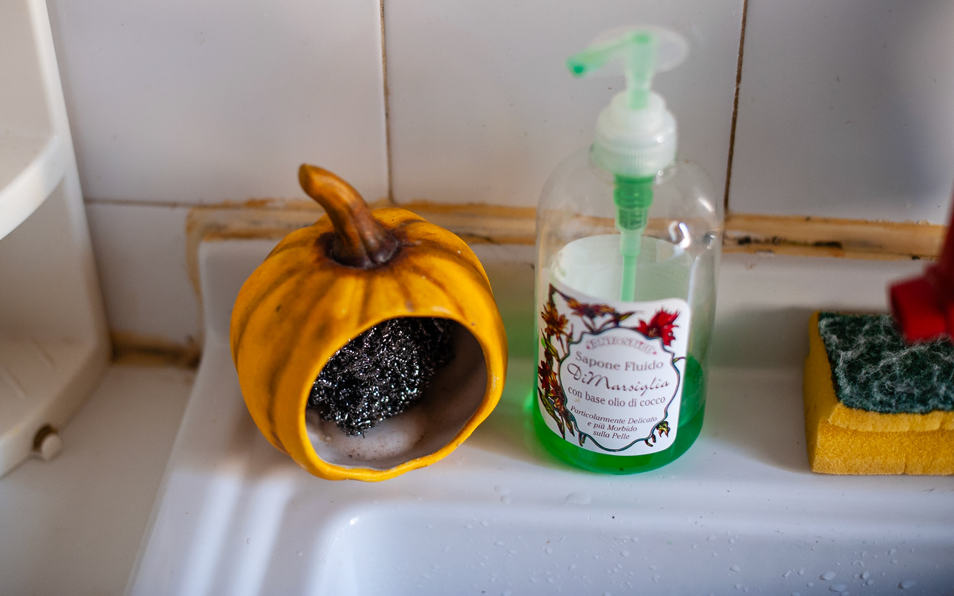 Cleaning accessories on Nonna's kitchen sink.  