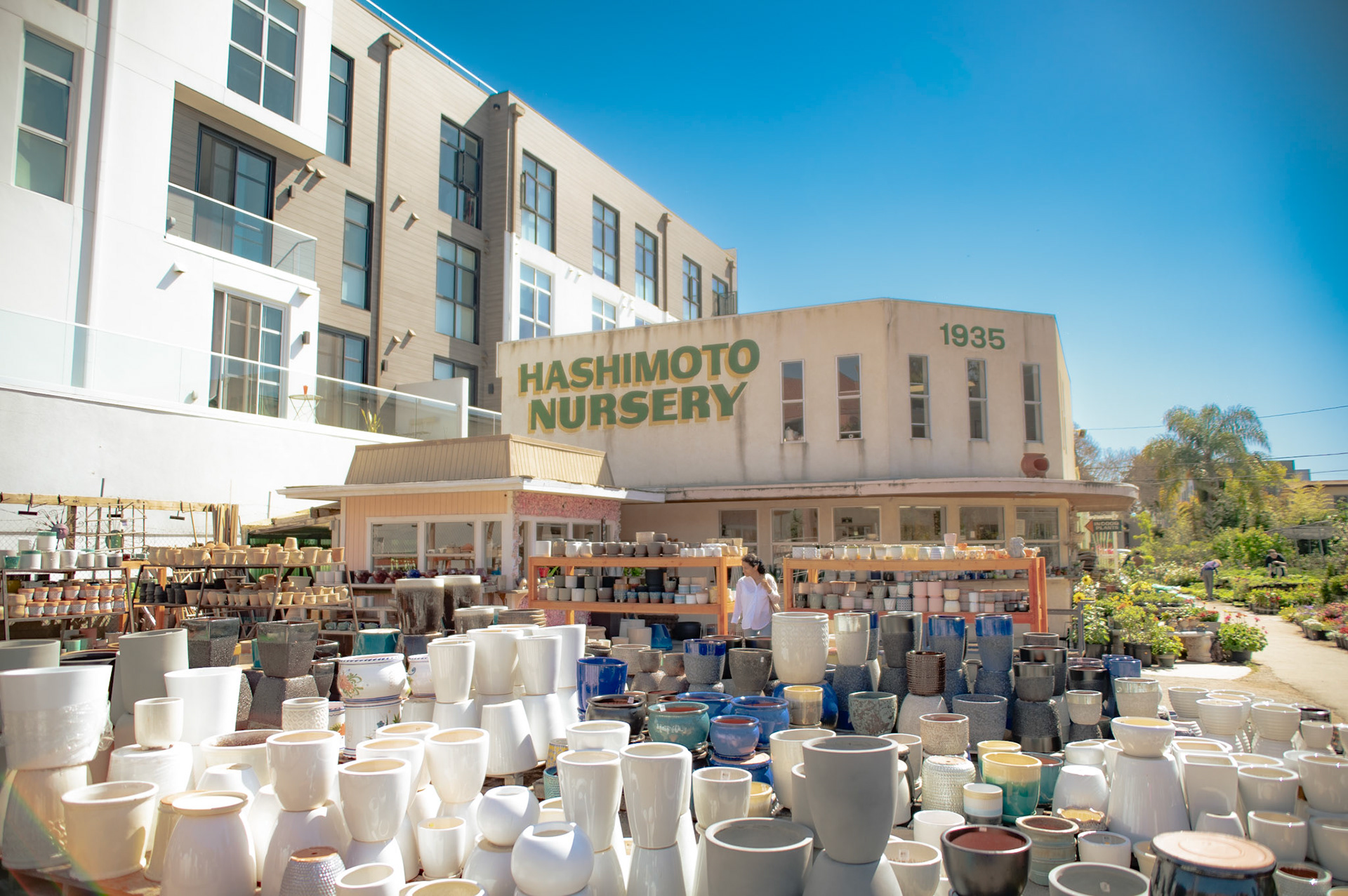 The Hashimoto Nursery
