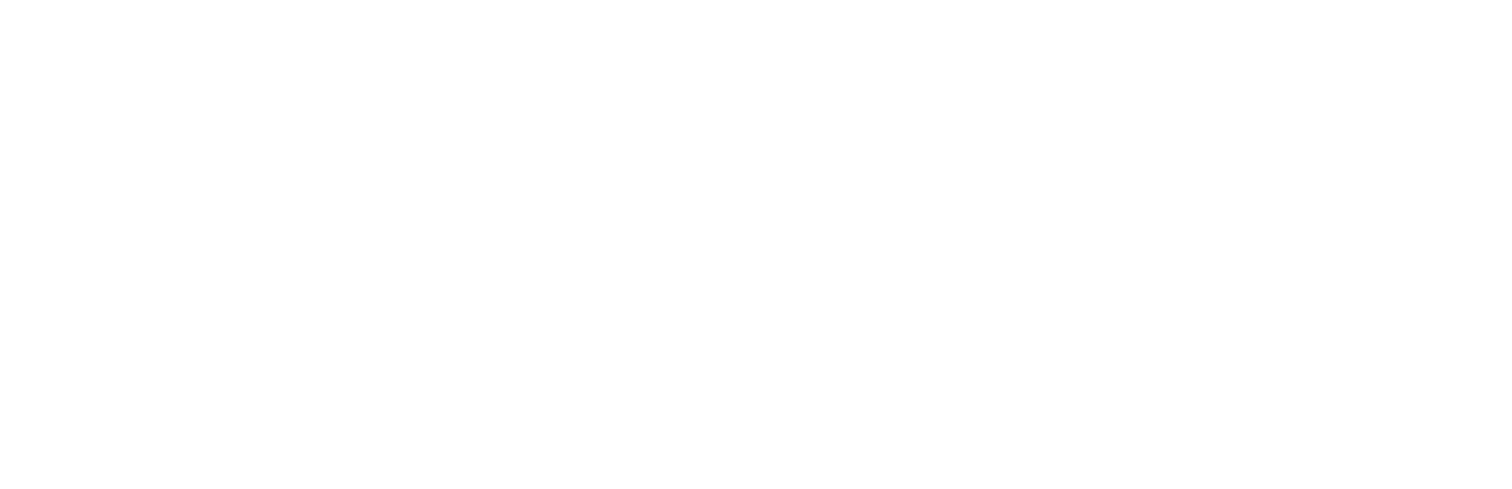 Ronaldo Maier Fotógrafo 
