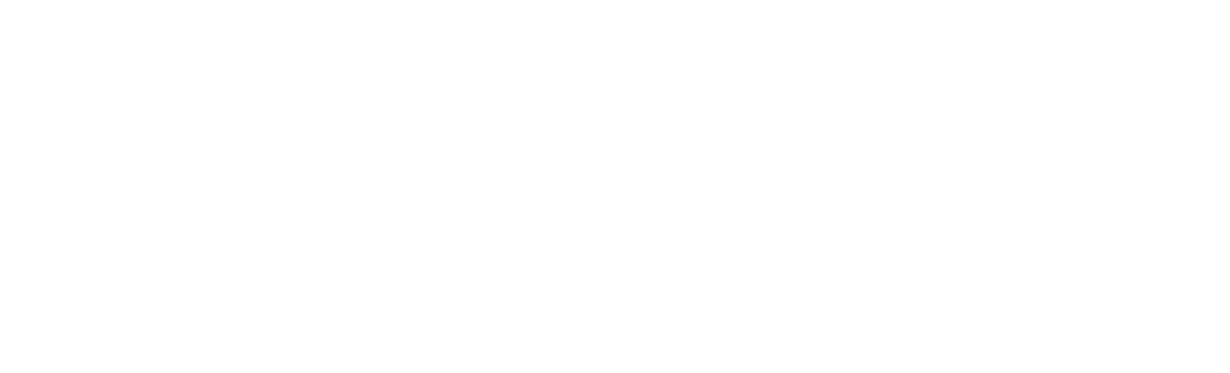 Ronaldo Maier Fotógrafo 