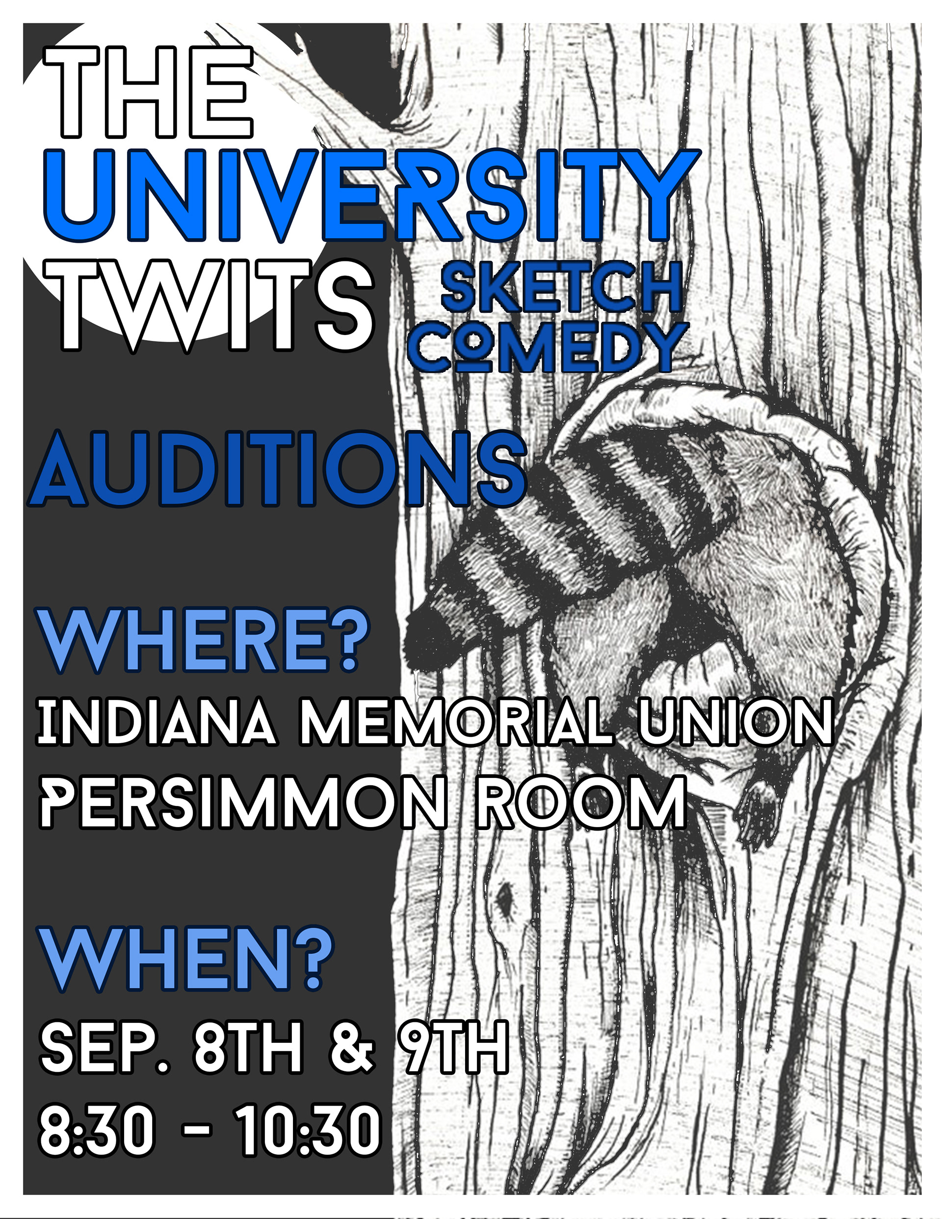 Flyer giving information on our  early September auditions for new members. 