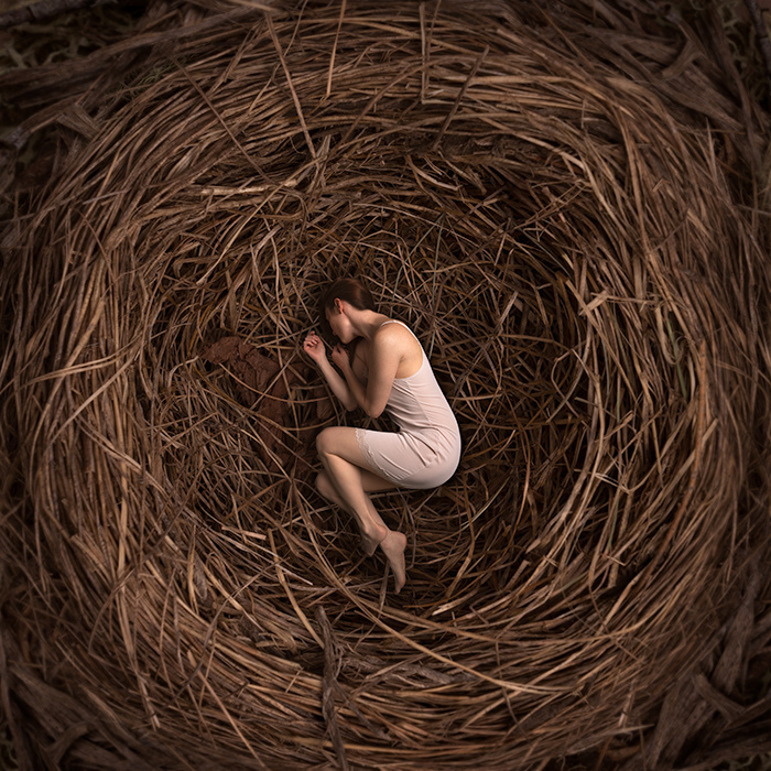 Nest