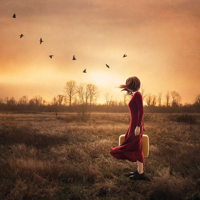 The Wind at Your Back