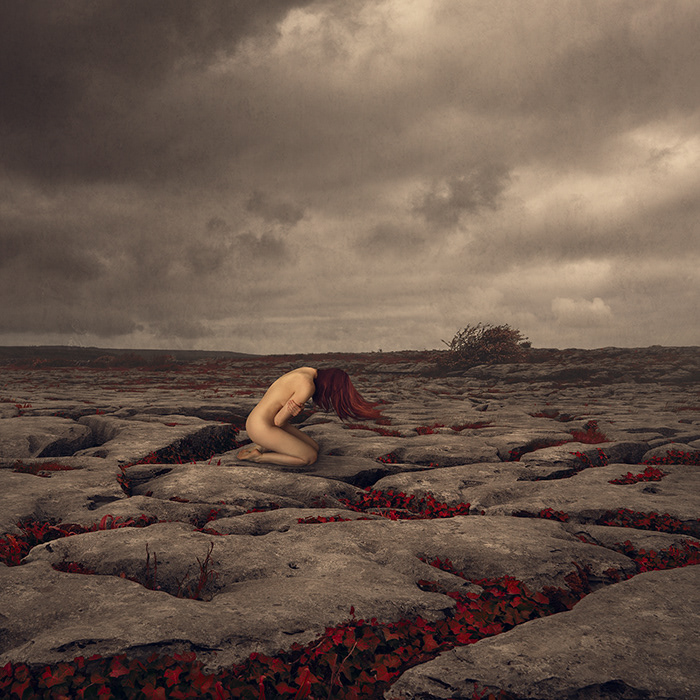 Isolate