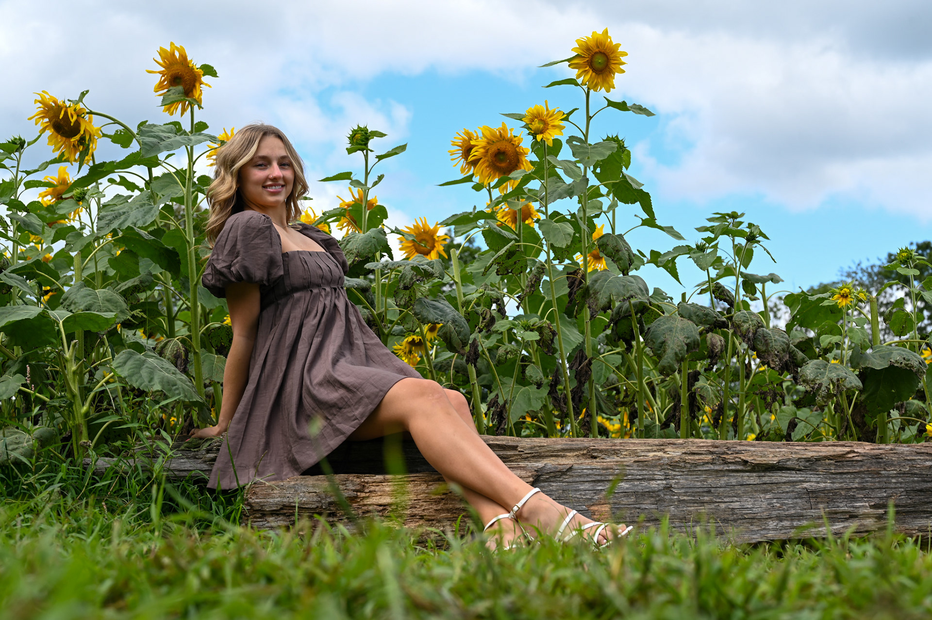 Ava Andrella sits and poses for her senior photos in a sunflower field in Akron, Ohio, on Tuesday, August 20, 2024.