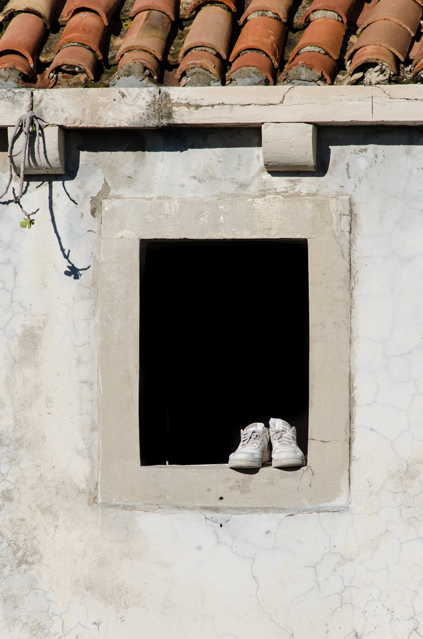 Trainers in Dubrovnik