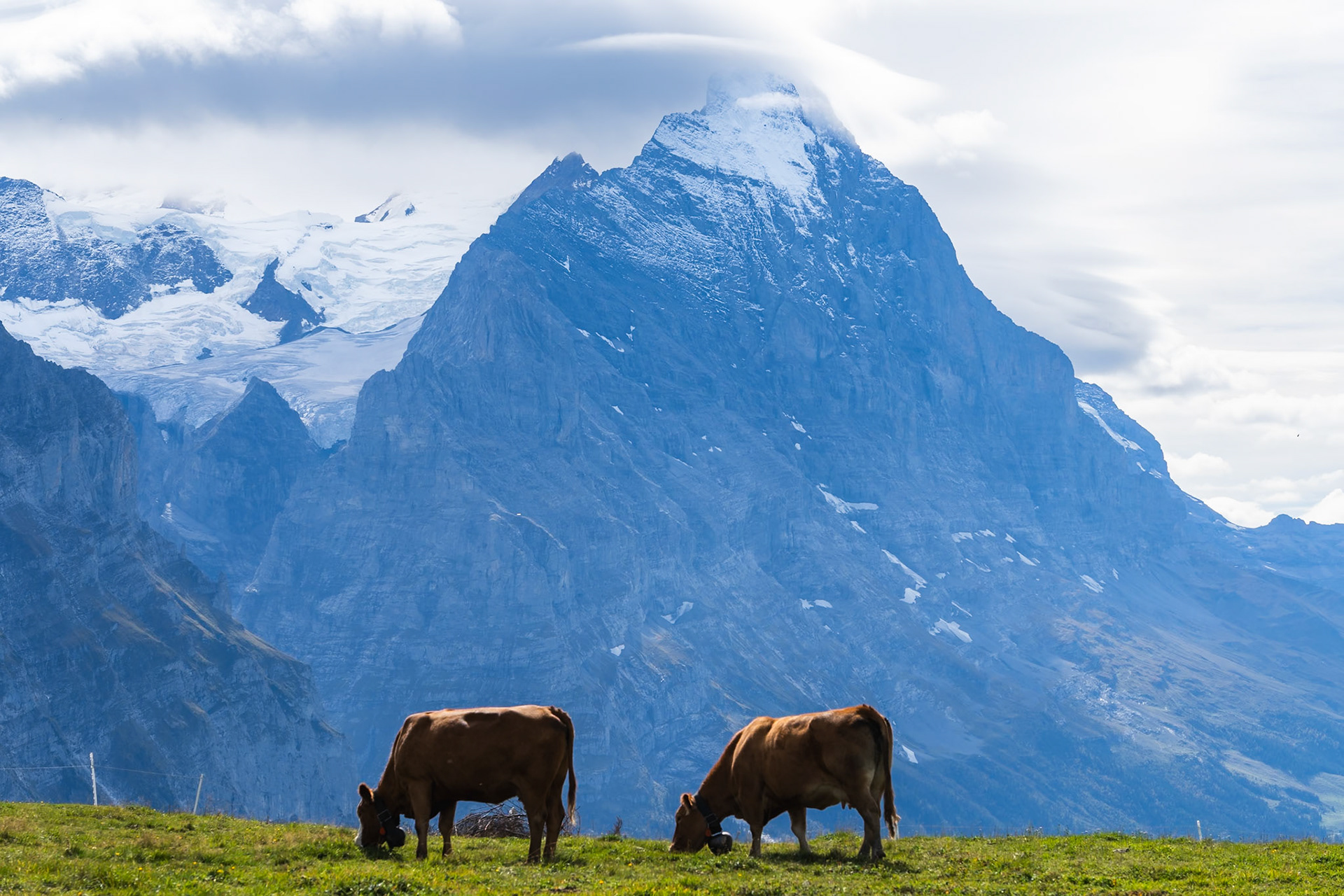 Eiger North Face – Spectacular Views from Multiple Angles