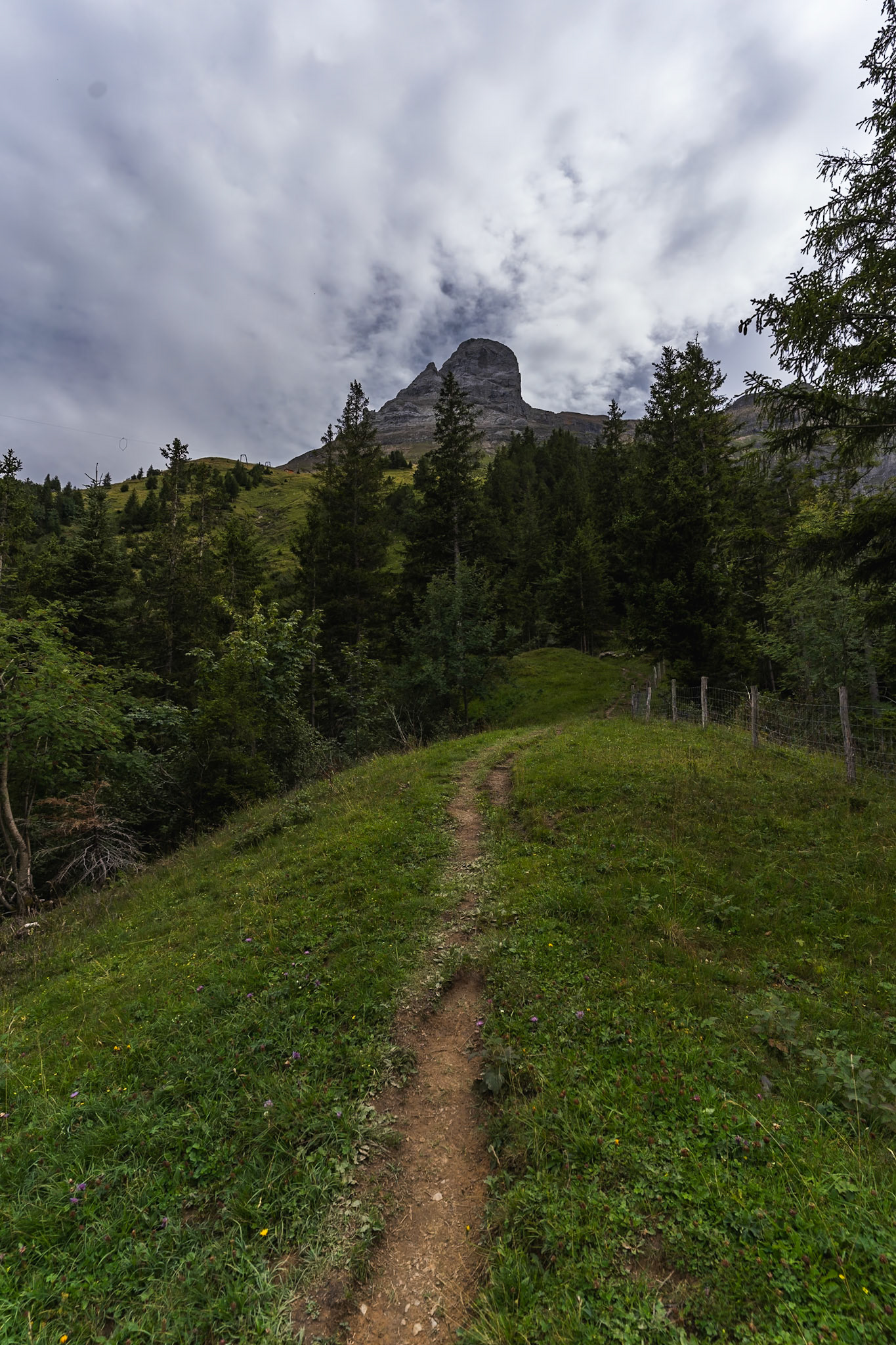 Breathtaking Alpine Hike in the Gitschen Region