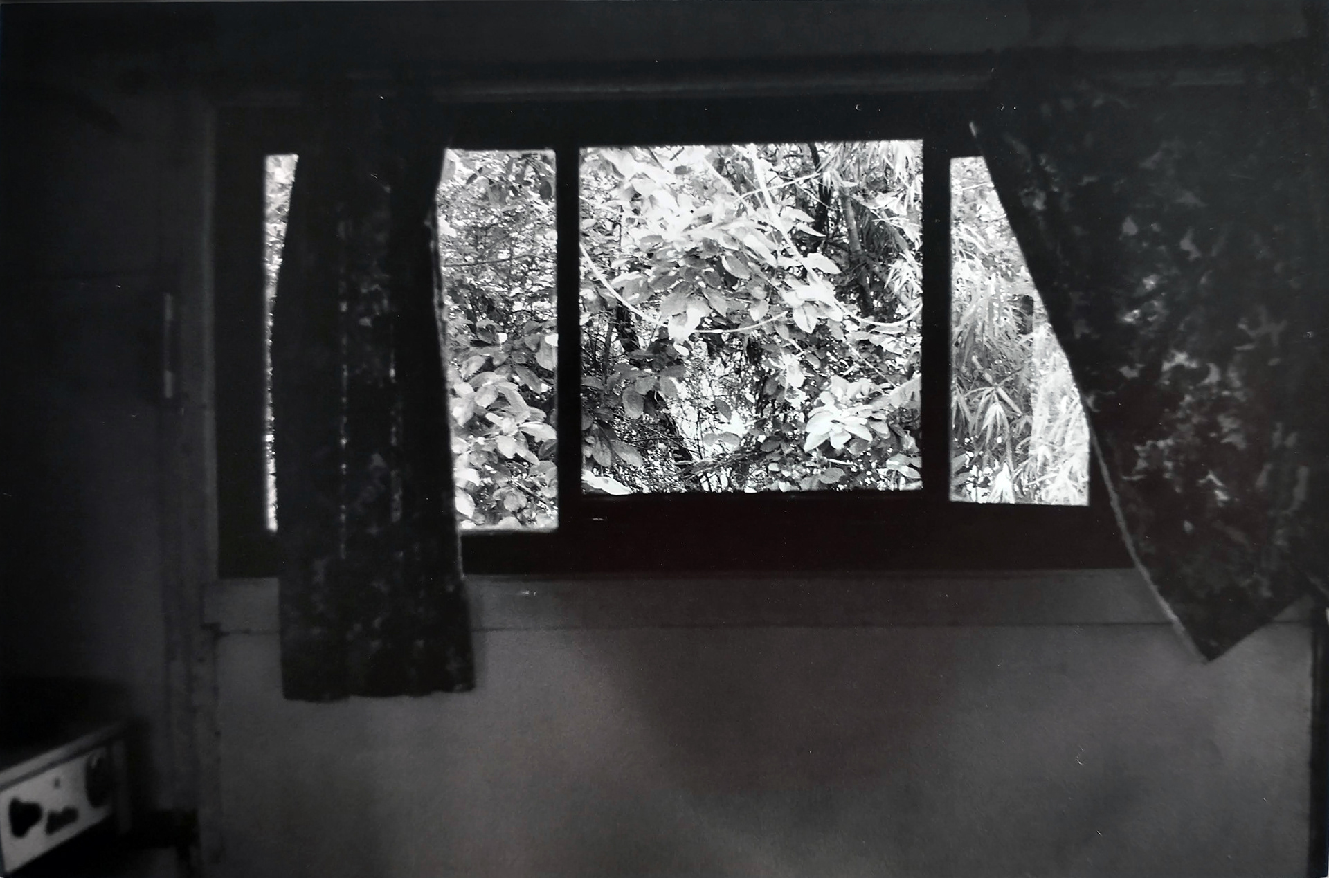"Ventana y poesía"
