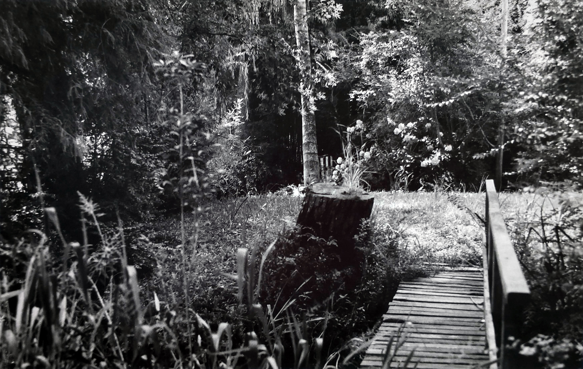 "Caminando sobre el río"